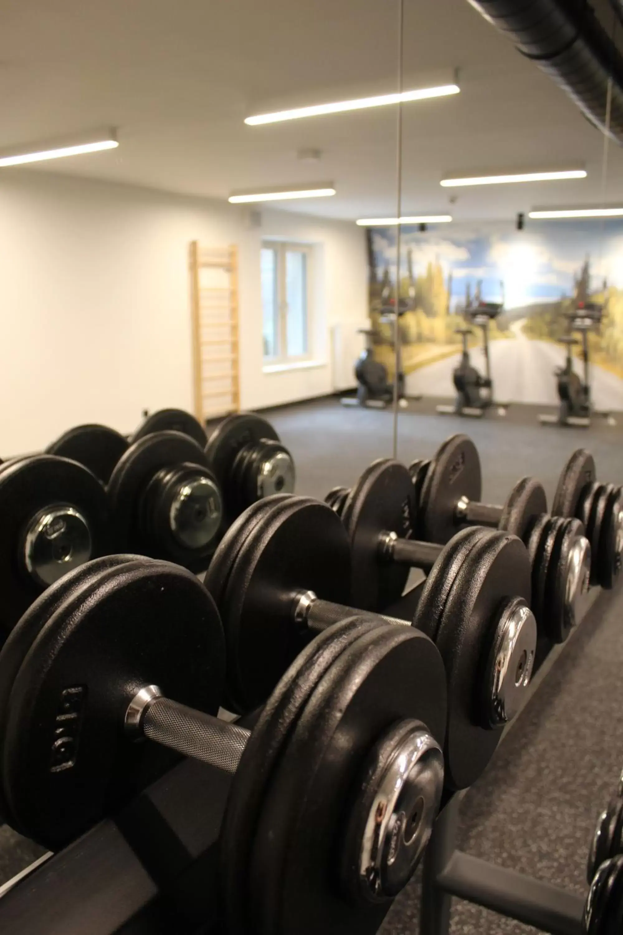 Fitness centre/facilities, Fitness Center/Facilities in Comfort Hotel Prague City