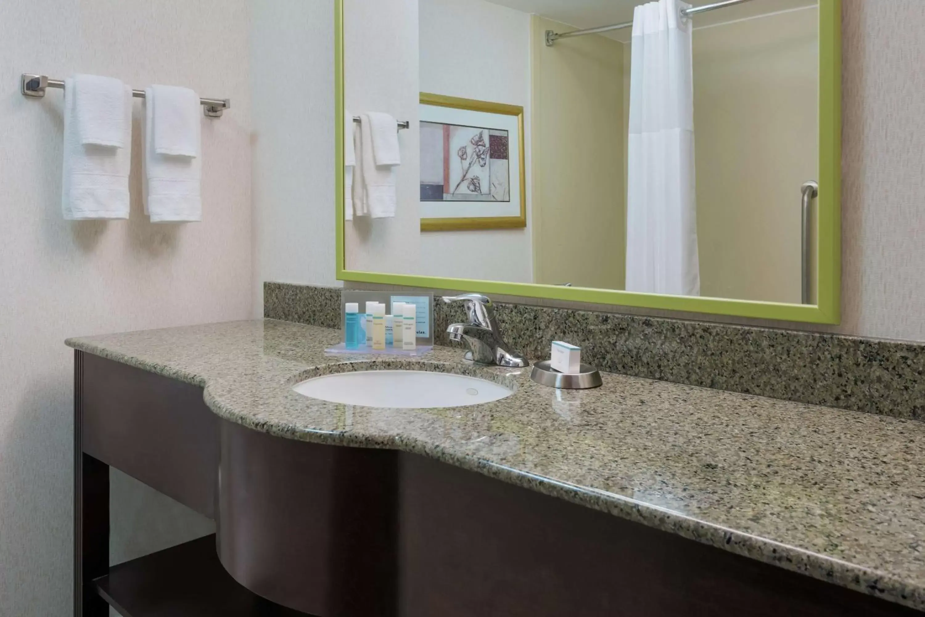 Bathroom in Hampton Inn South Plainfield-Piscataway