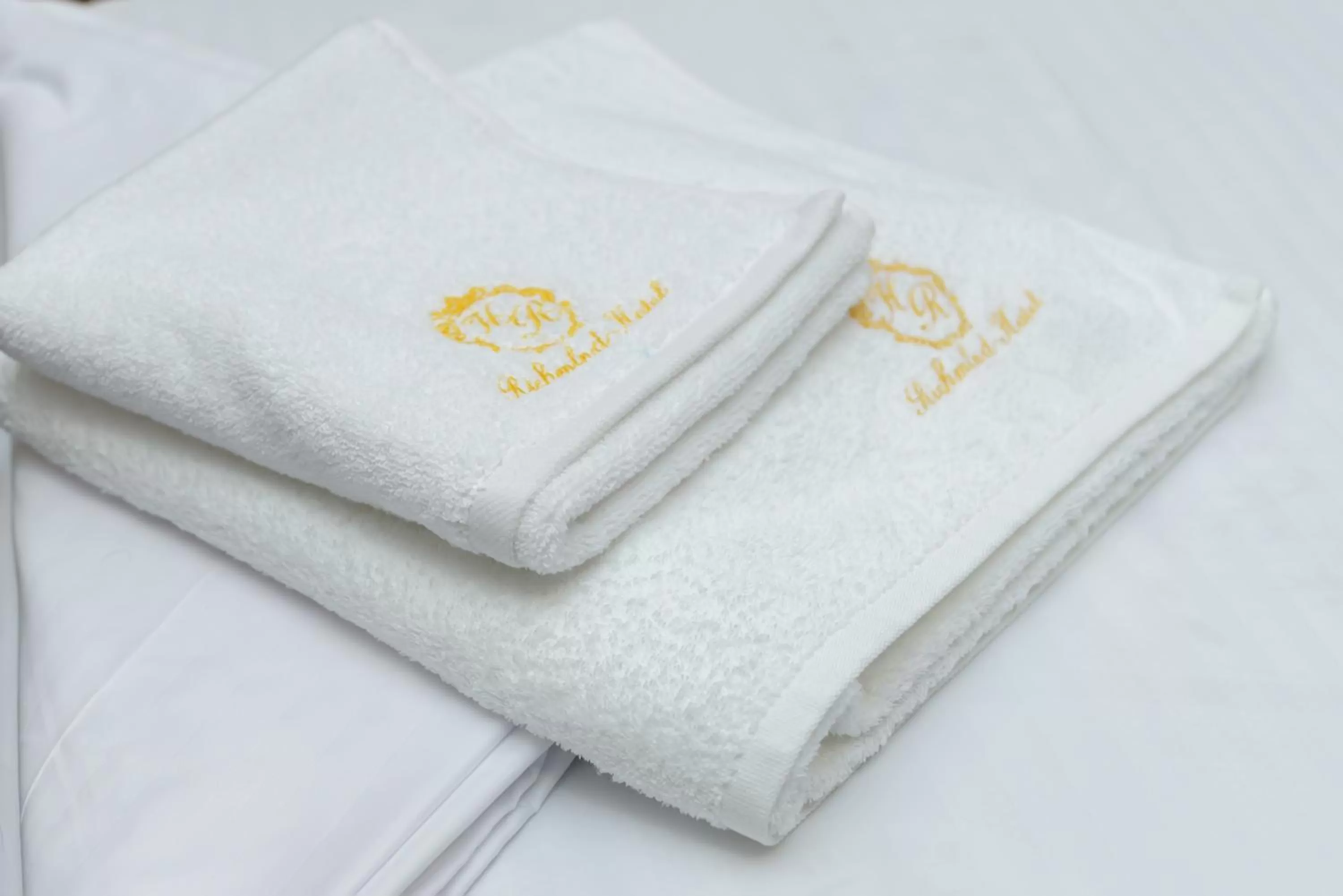 Property logo or sign in Richmind Hotel