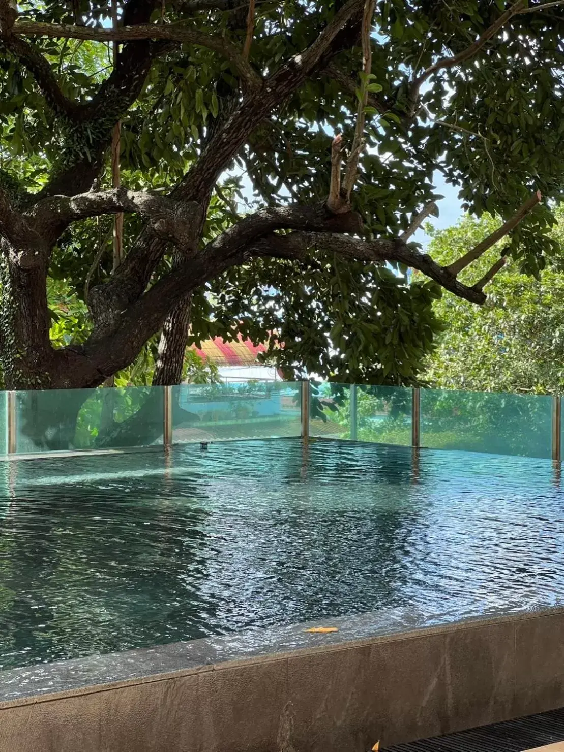 Swimming pool in Hatyai Signature Hotel