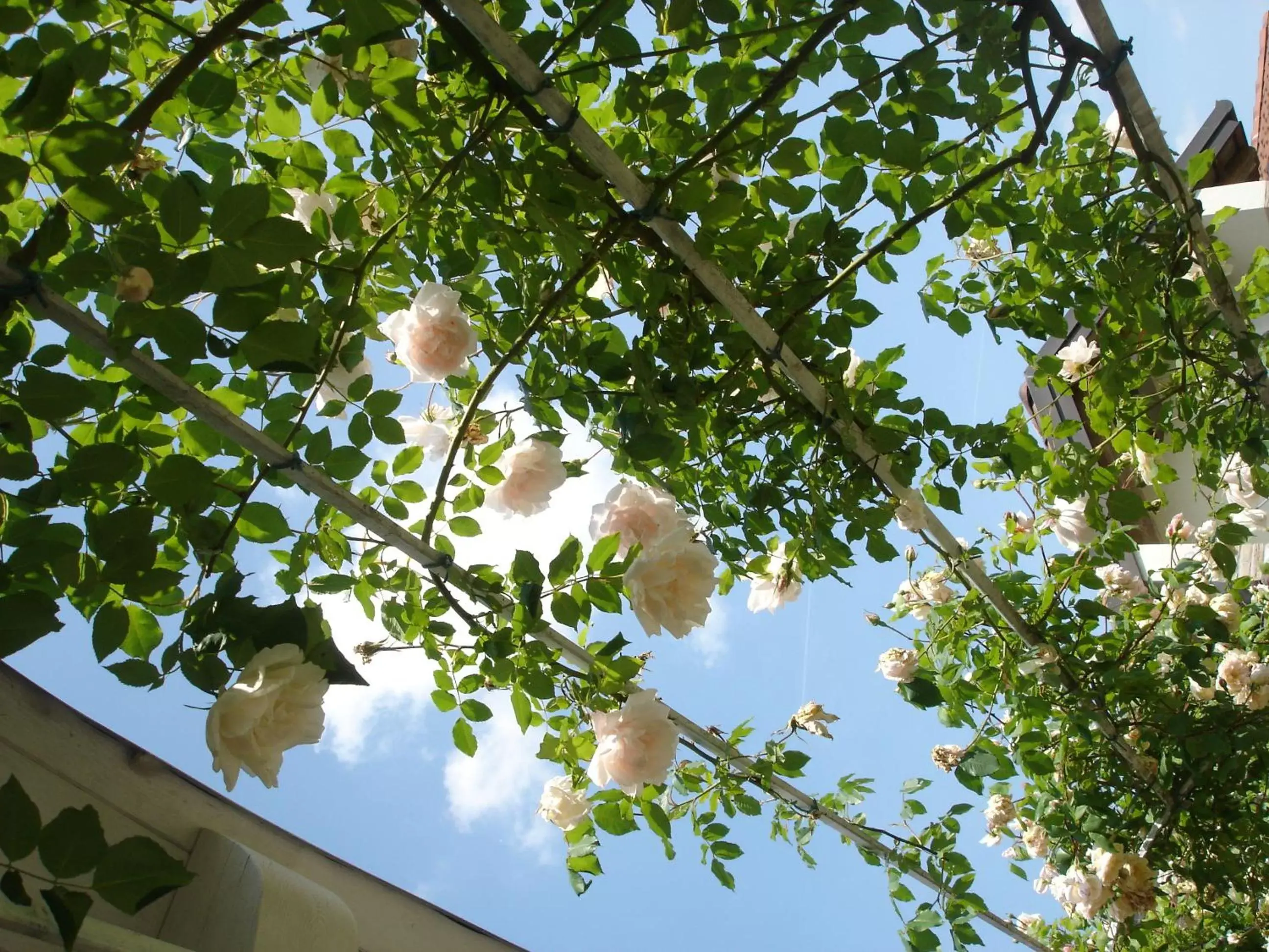 Spring in La Casa di Linda