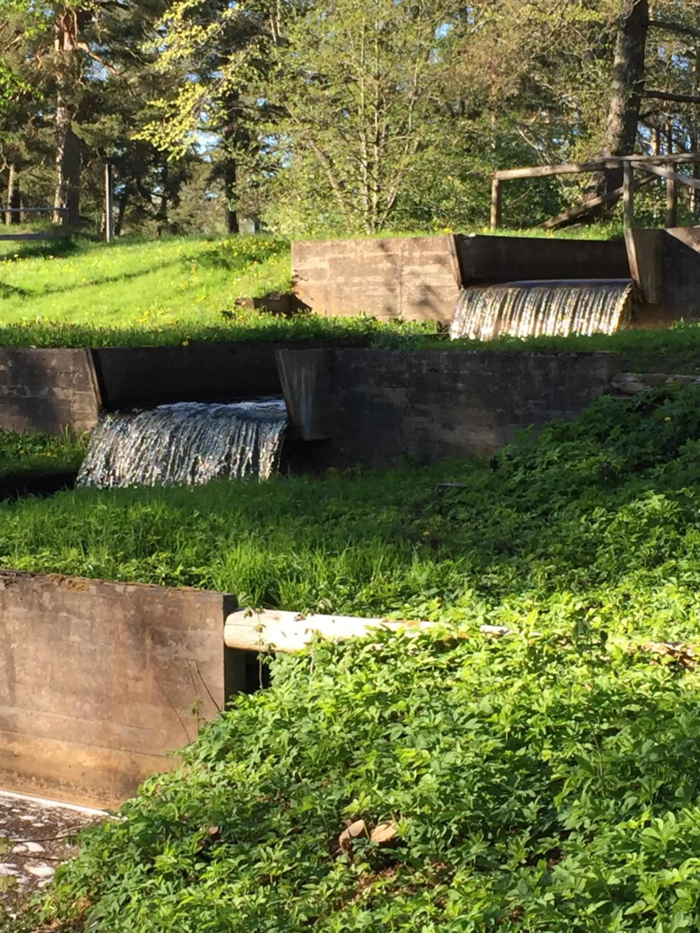 Natural landscape in KvarnDammens Bed & Breakfast