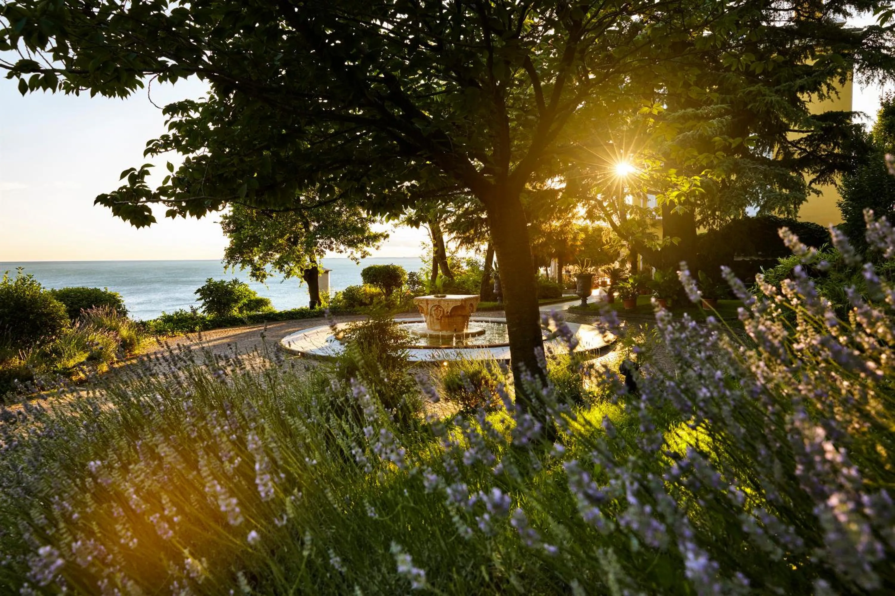Garden in Hotel Riviera & Maximilian's
