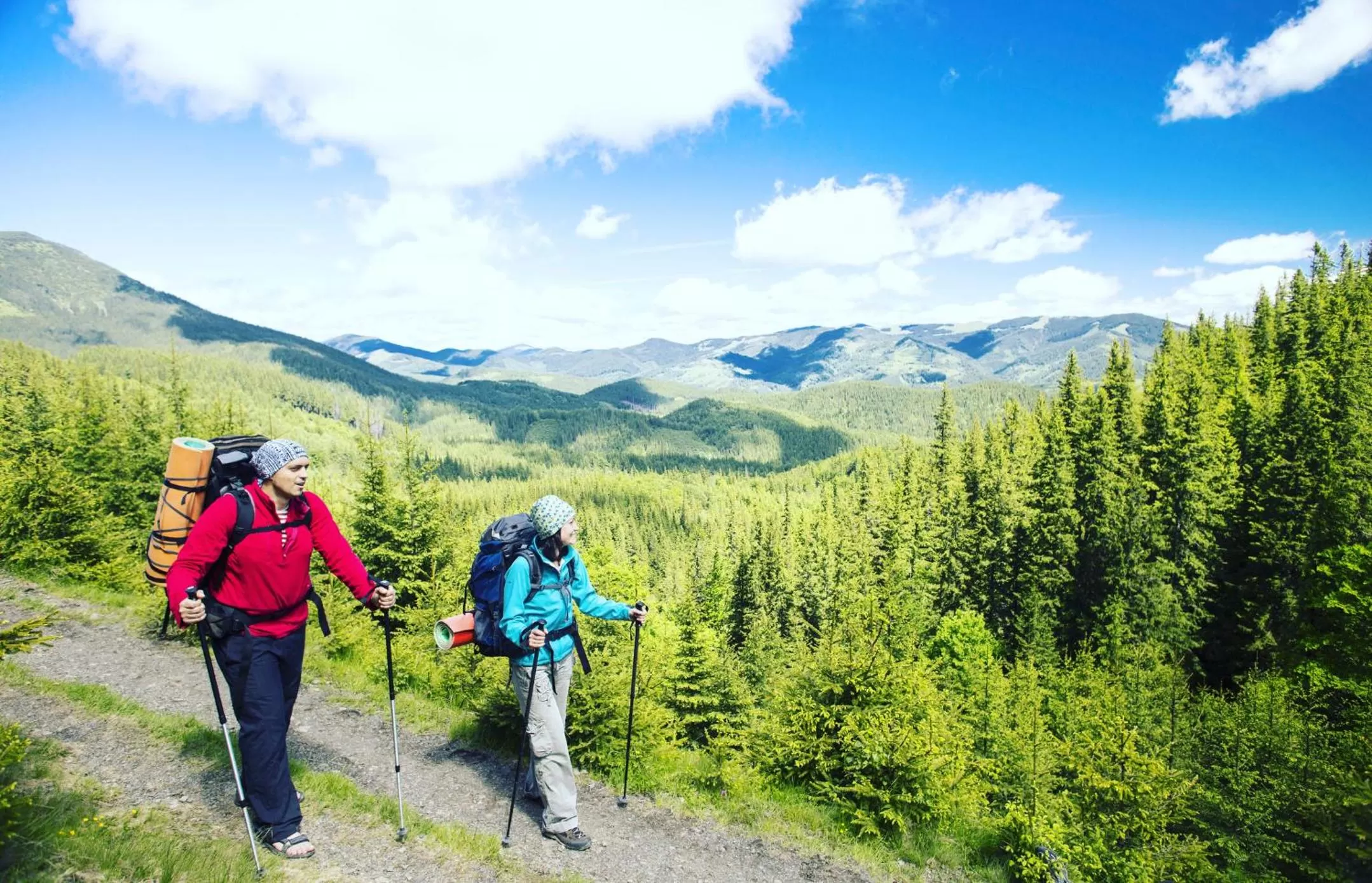 Natural landscape in The Monarch Inn