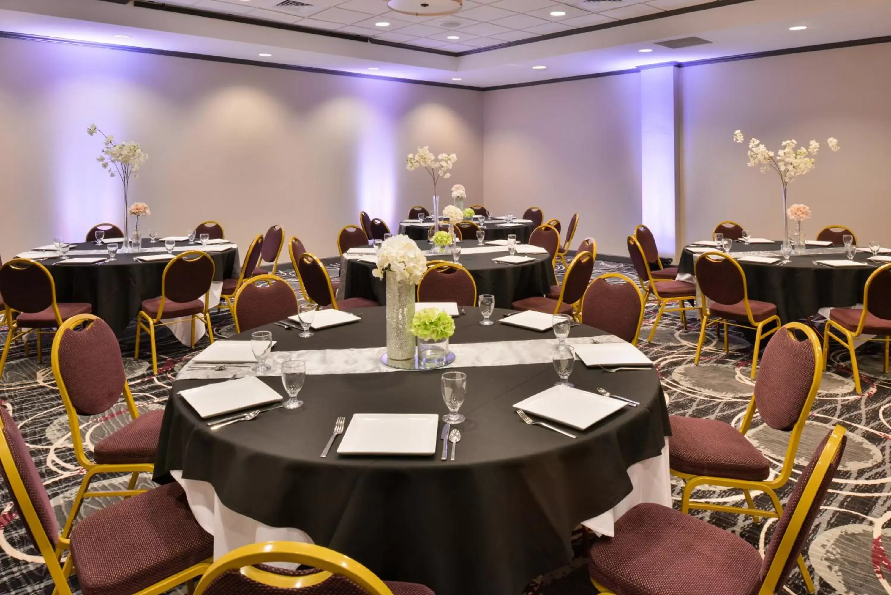 Banquet/Function facilities in Holiday Inn Kansas City Airport, an IHG Hotel