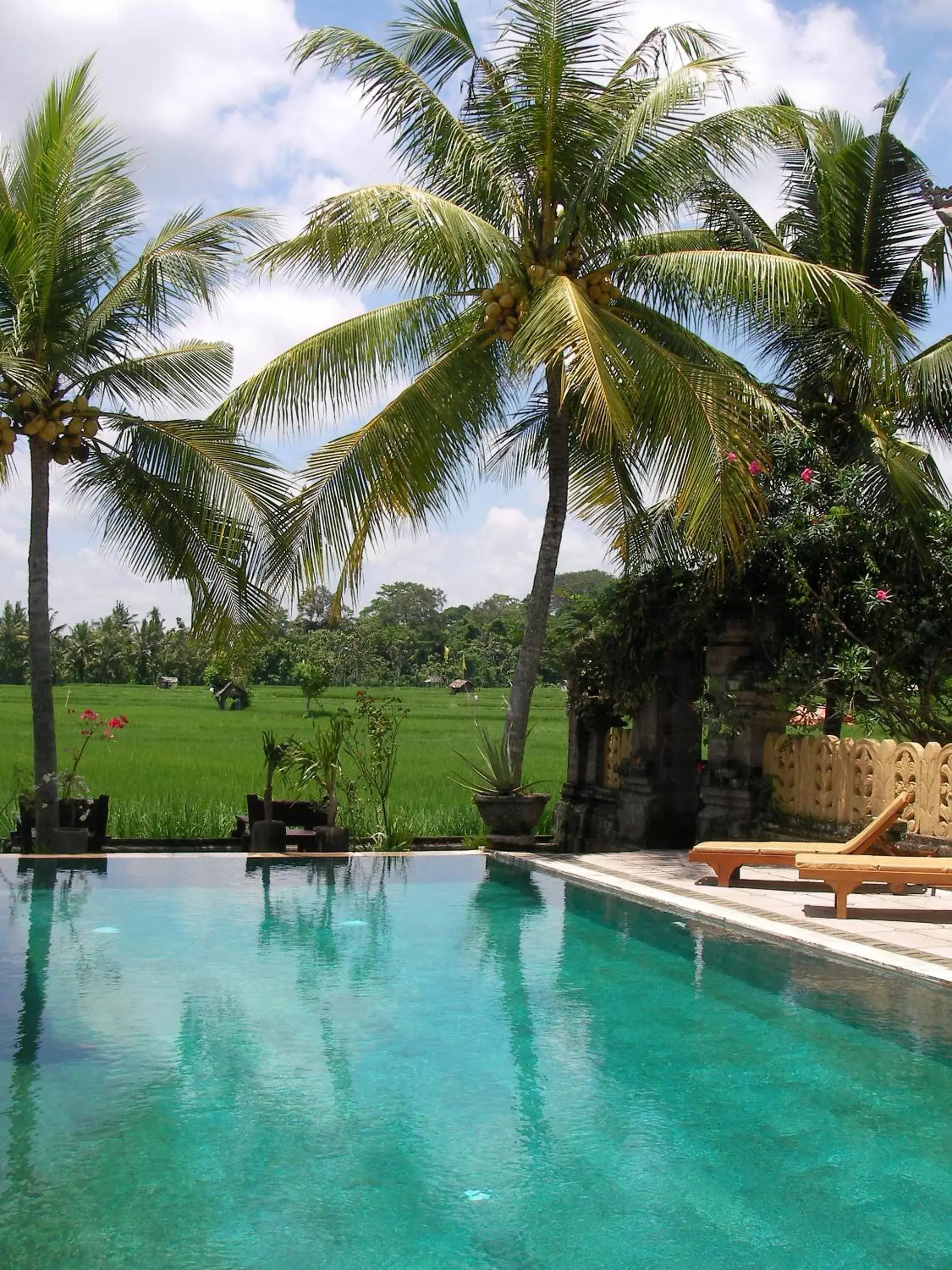 Bird's eye view, Swimming Pool in Green Field Hotel and Restaurant