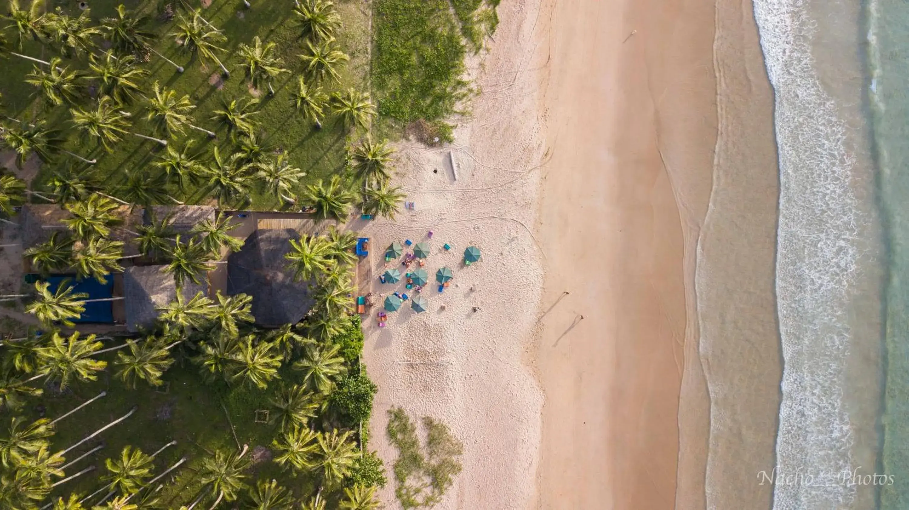 Bird's eye view, Bird's-eye View in Mad Monkey Hostel Nacpan Beach