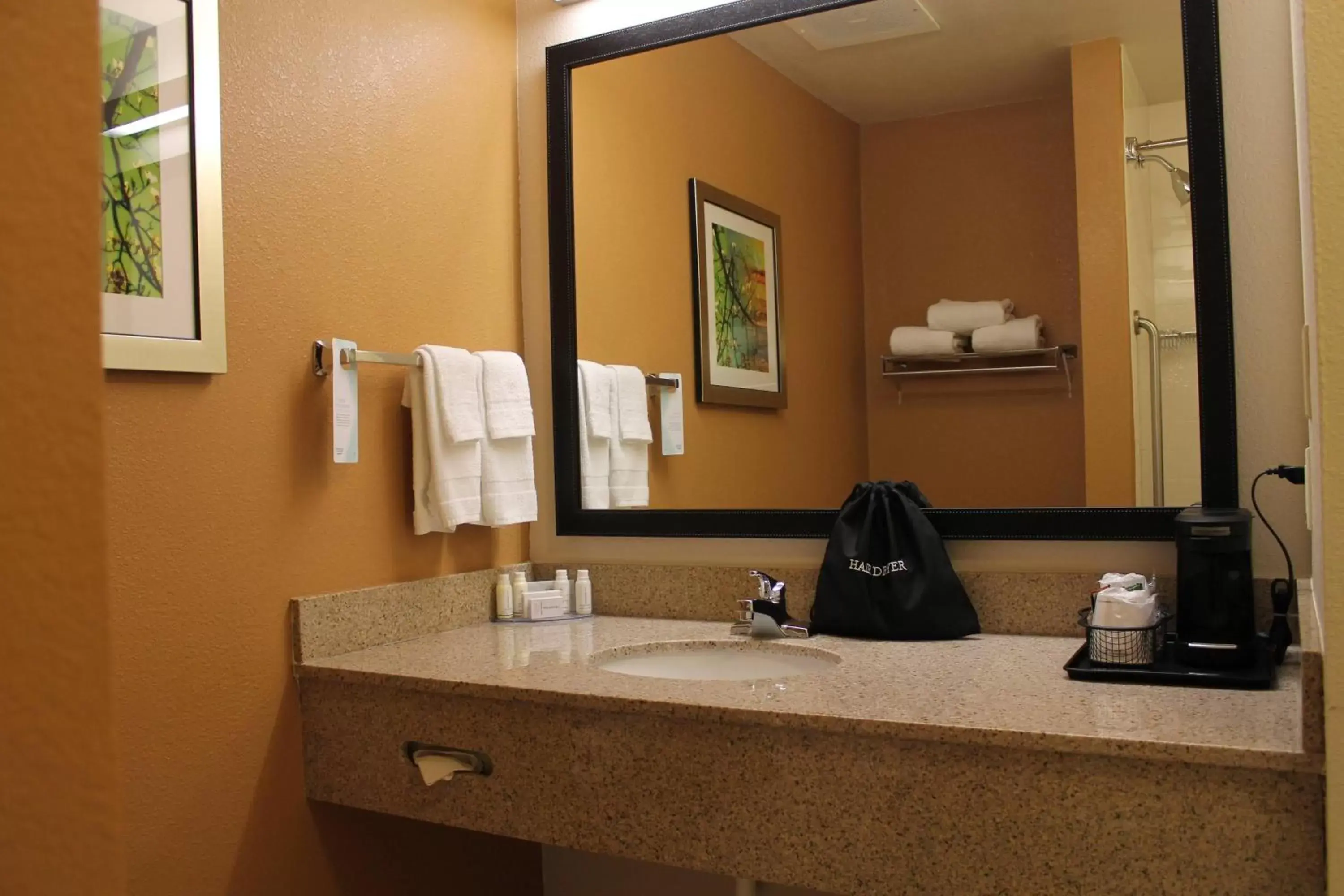 Bathroom in Fairfield Inn & Suites Frankfort