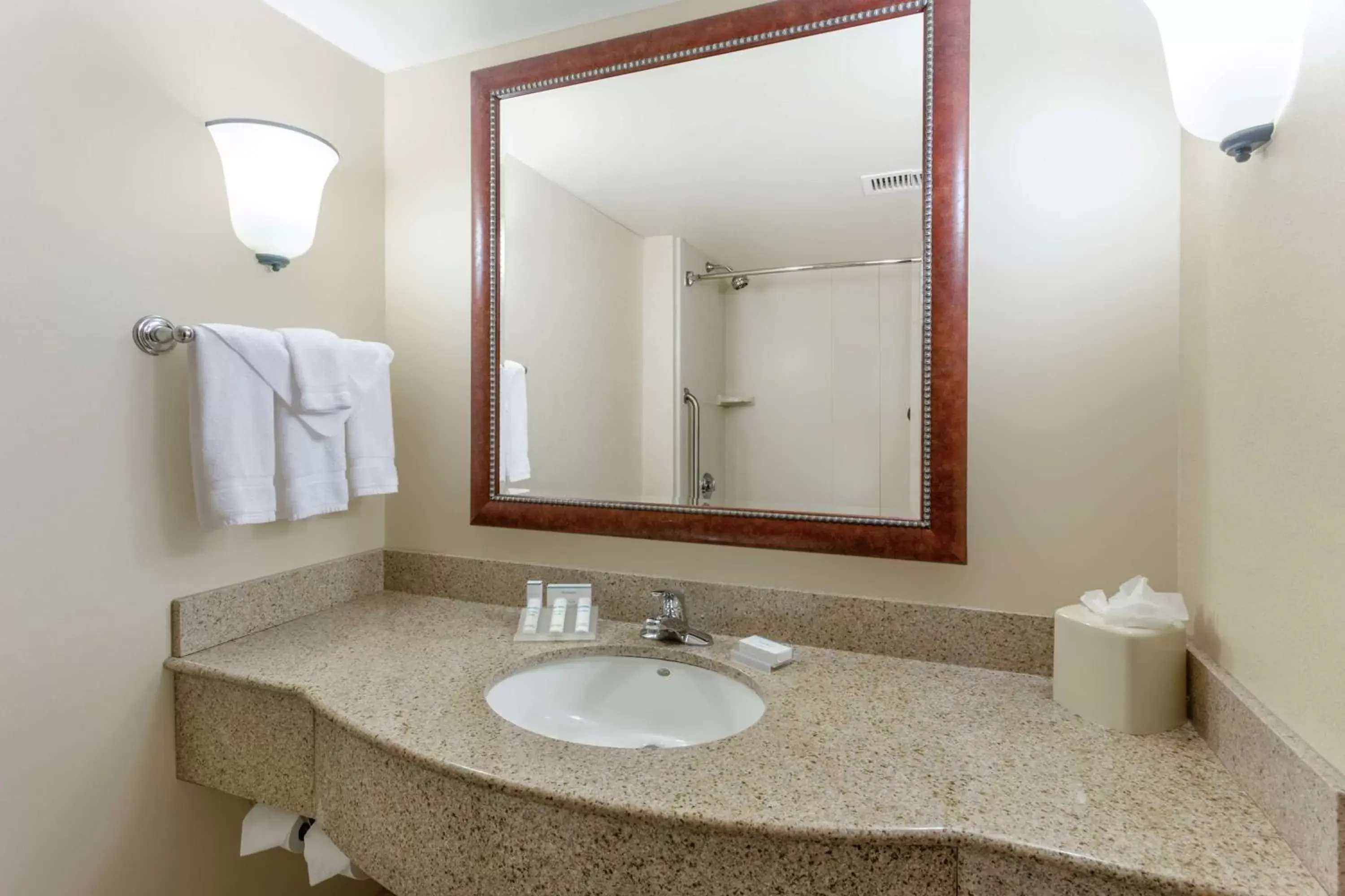 Bathroom in Hilton Garden Inn Richmond South/Southpark