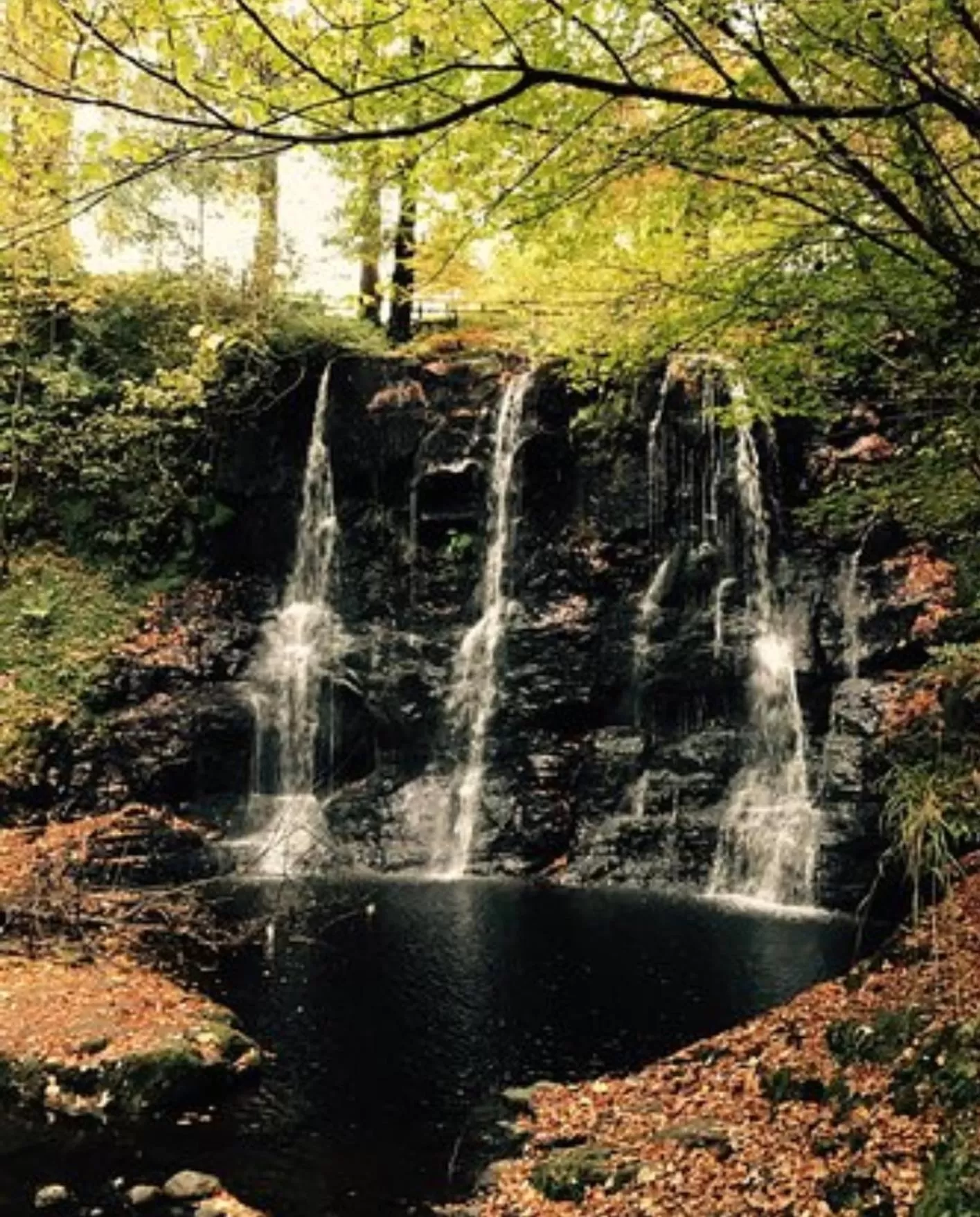 Natural landscape in The Tree-house B&B