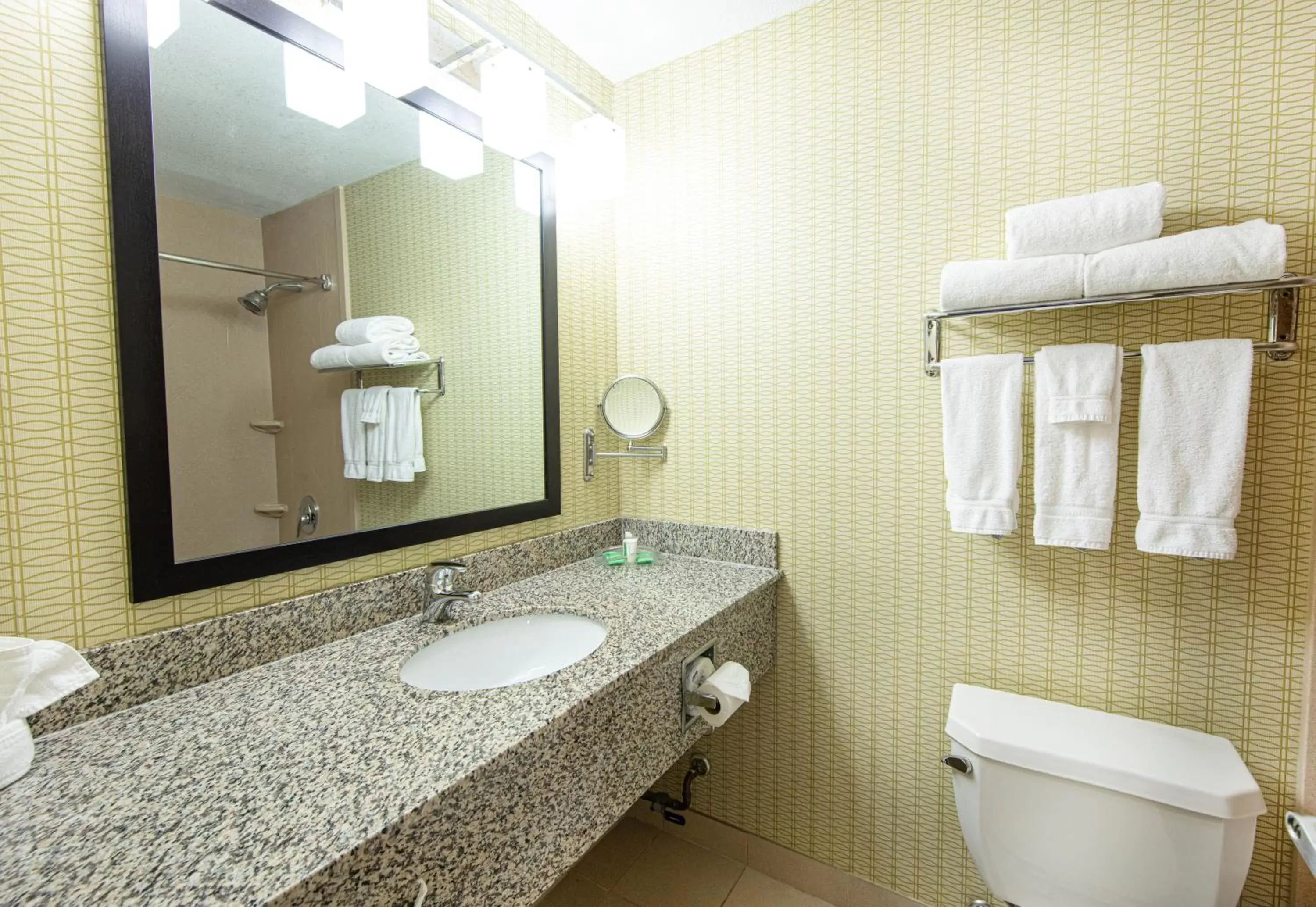 Shower, Bathroom in Holiday Inn St. Louis Airport West Earth City, an IHG Hotel