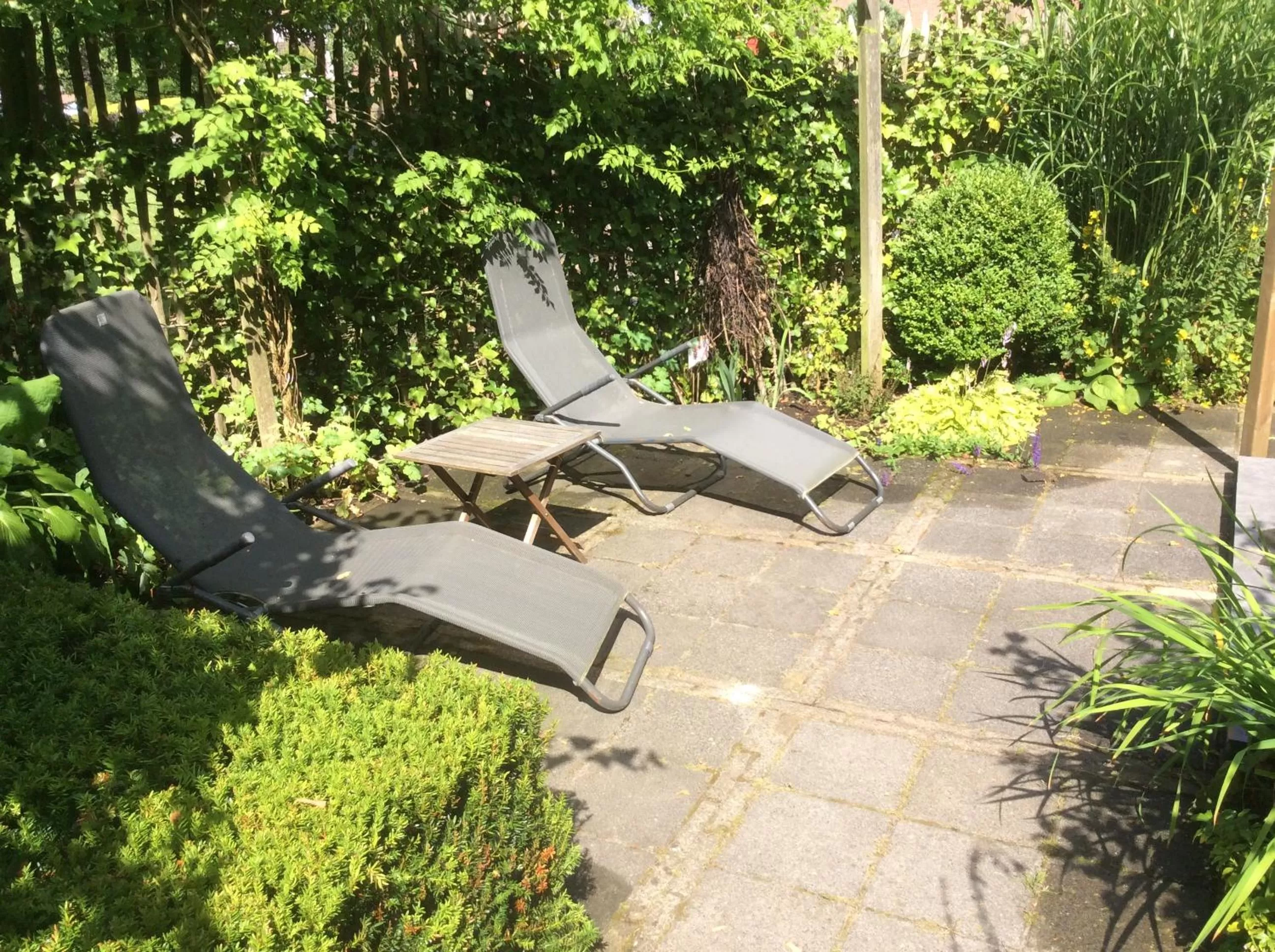 Garden view in B&B De Dream