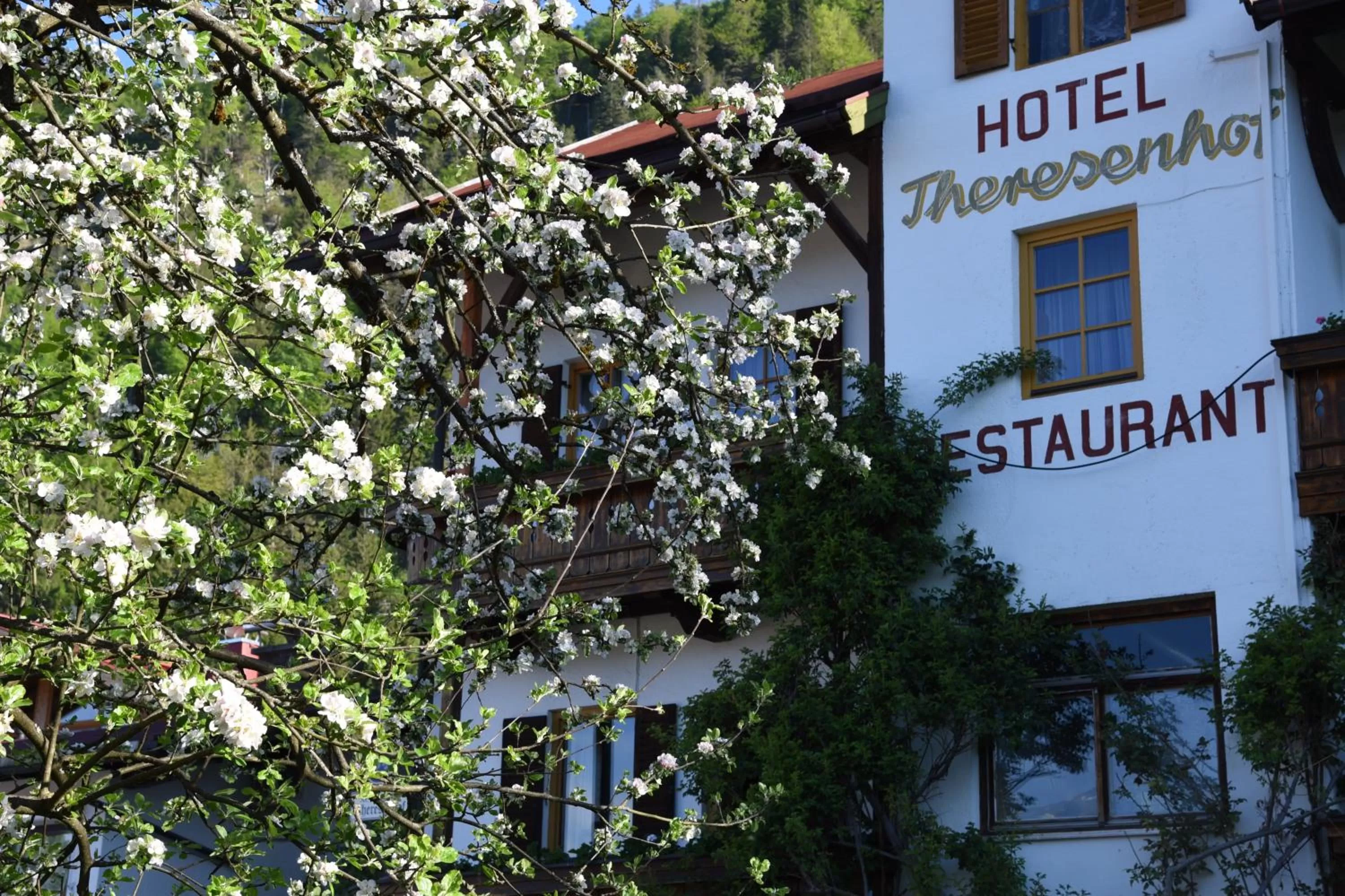 Property Building in Theresenhof