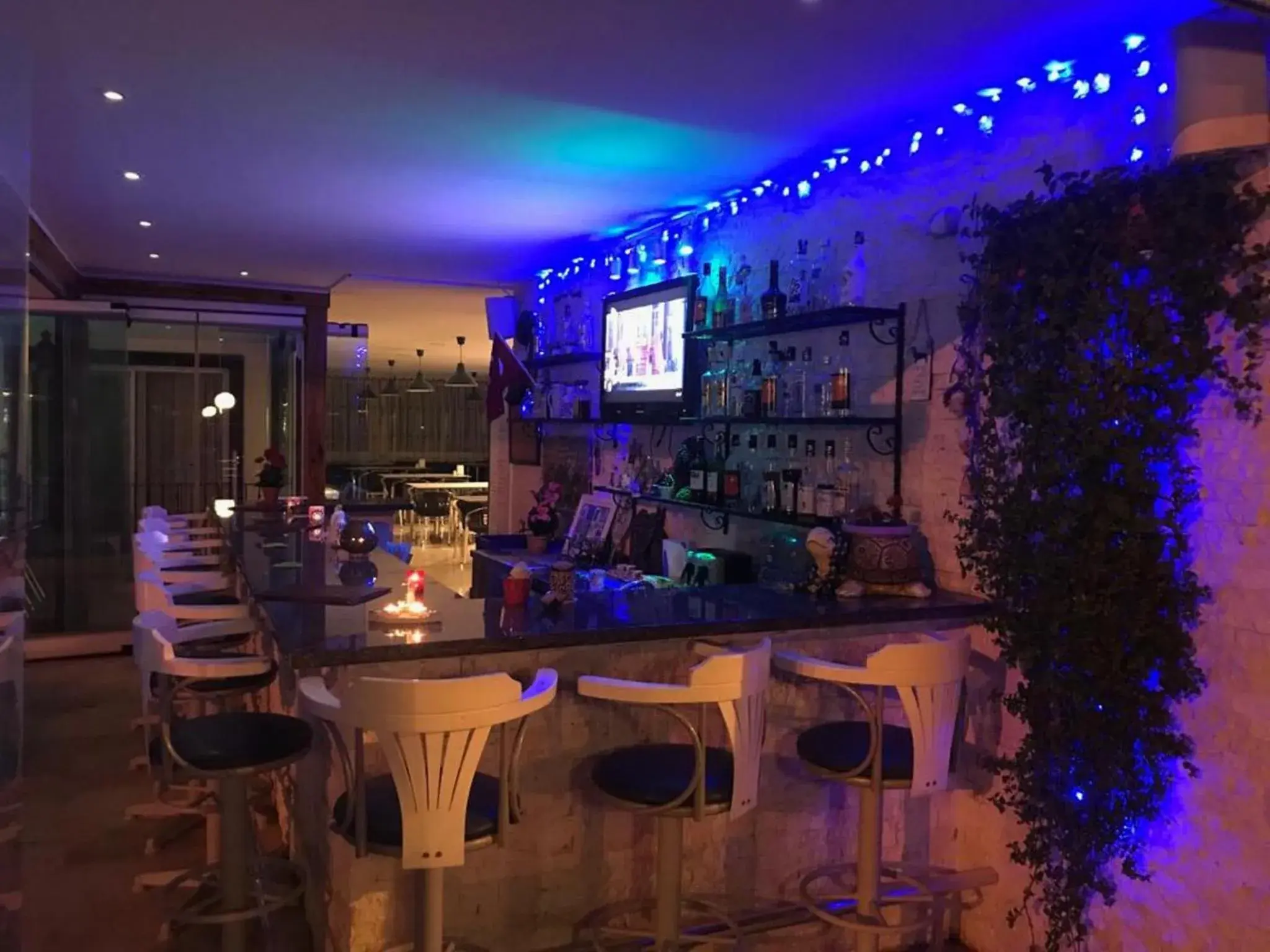 Lounge/Bar in Rota Hotel