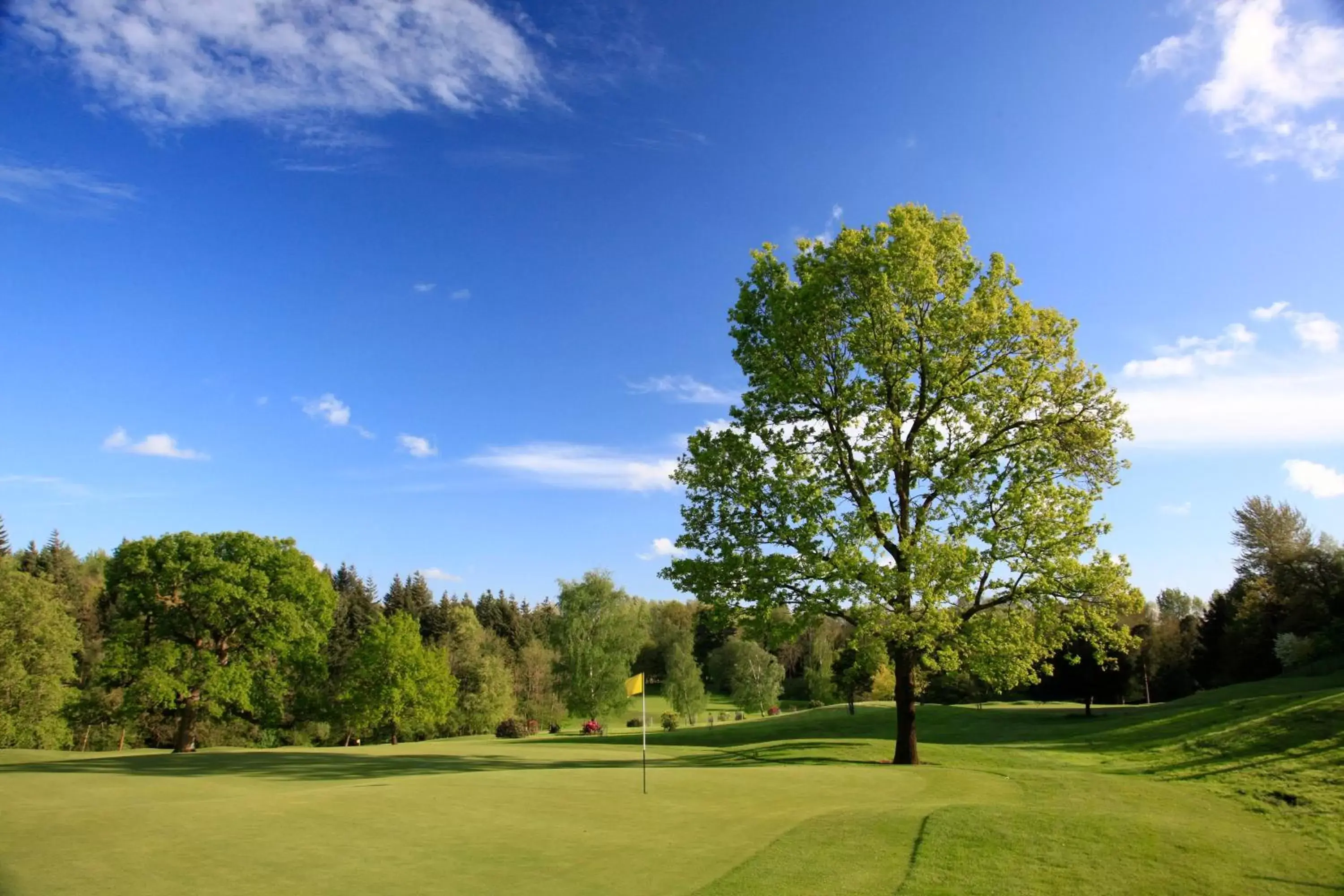 Golfcourse, Golf in Bowood Hotel, Spa, and Golf Resort