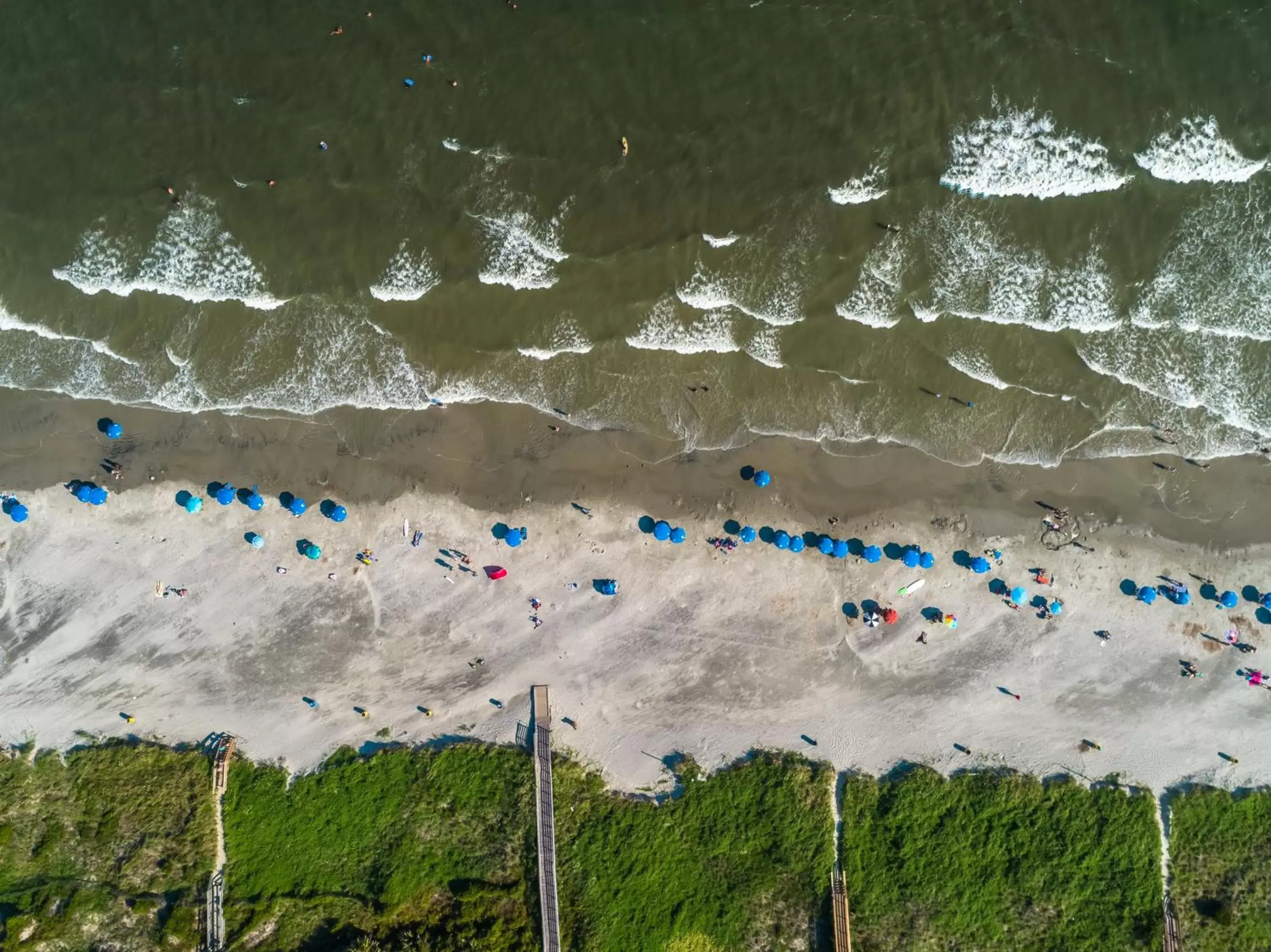 Natural landscape, Bird's-eye View in The Palms Oceanfront Hotel