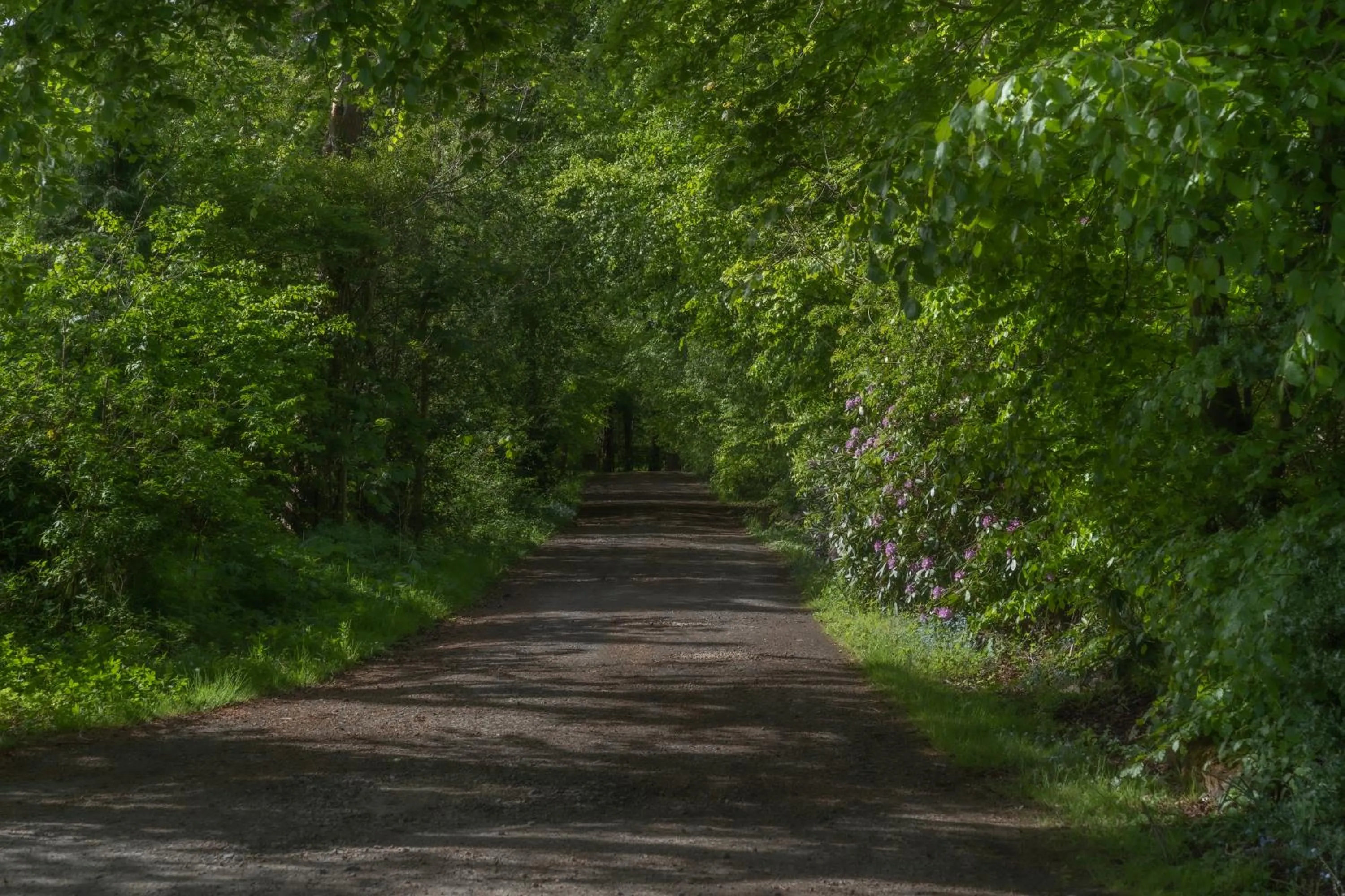 Property building in Bankton House