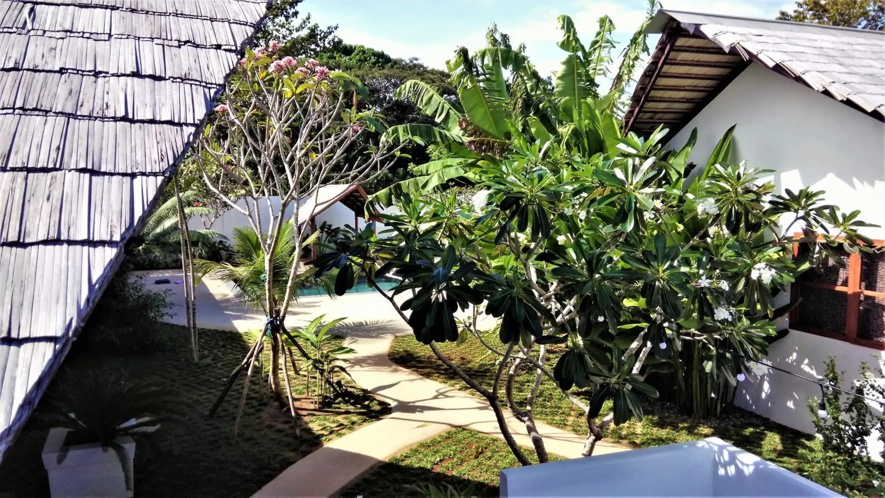 Garden view, Pool View in Villa Kalachuchi V.K