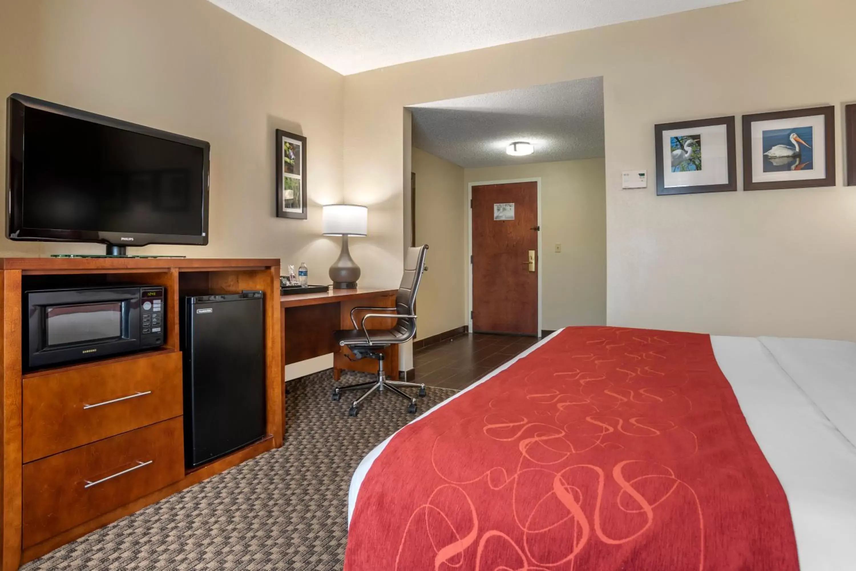 Bedroom, Bed in Comfort Suites Tallahassee Downtown