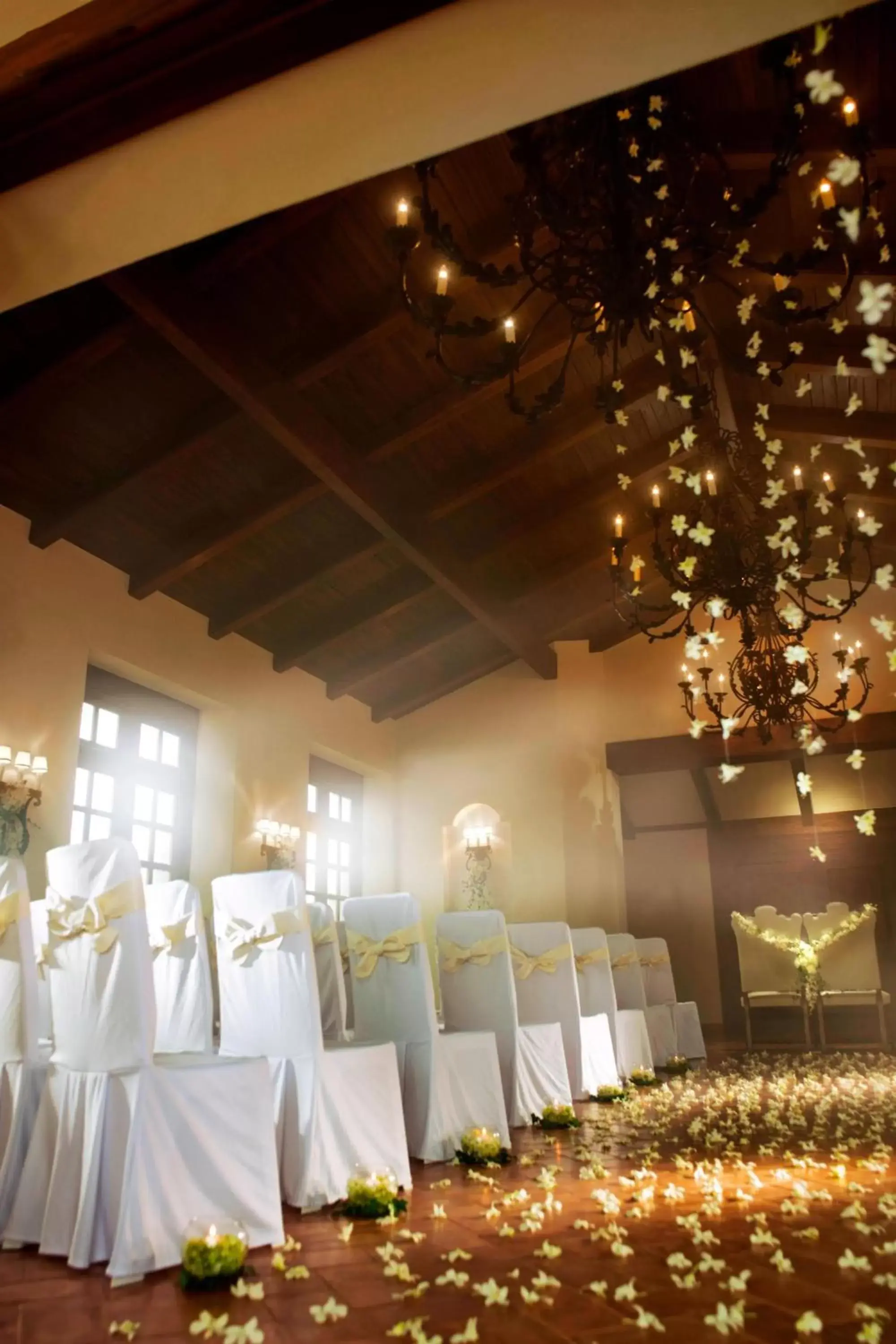 Other, Banquet Facilities in JW Marriott Guanacaste Resort & Spa