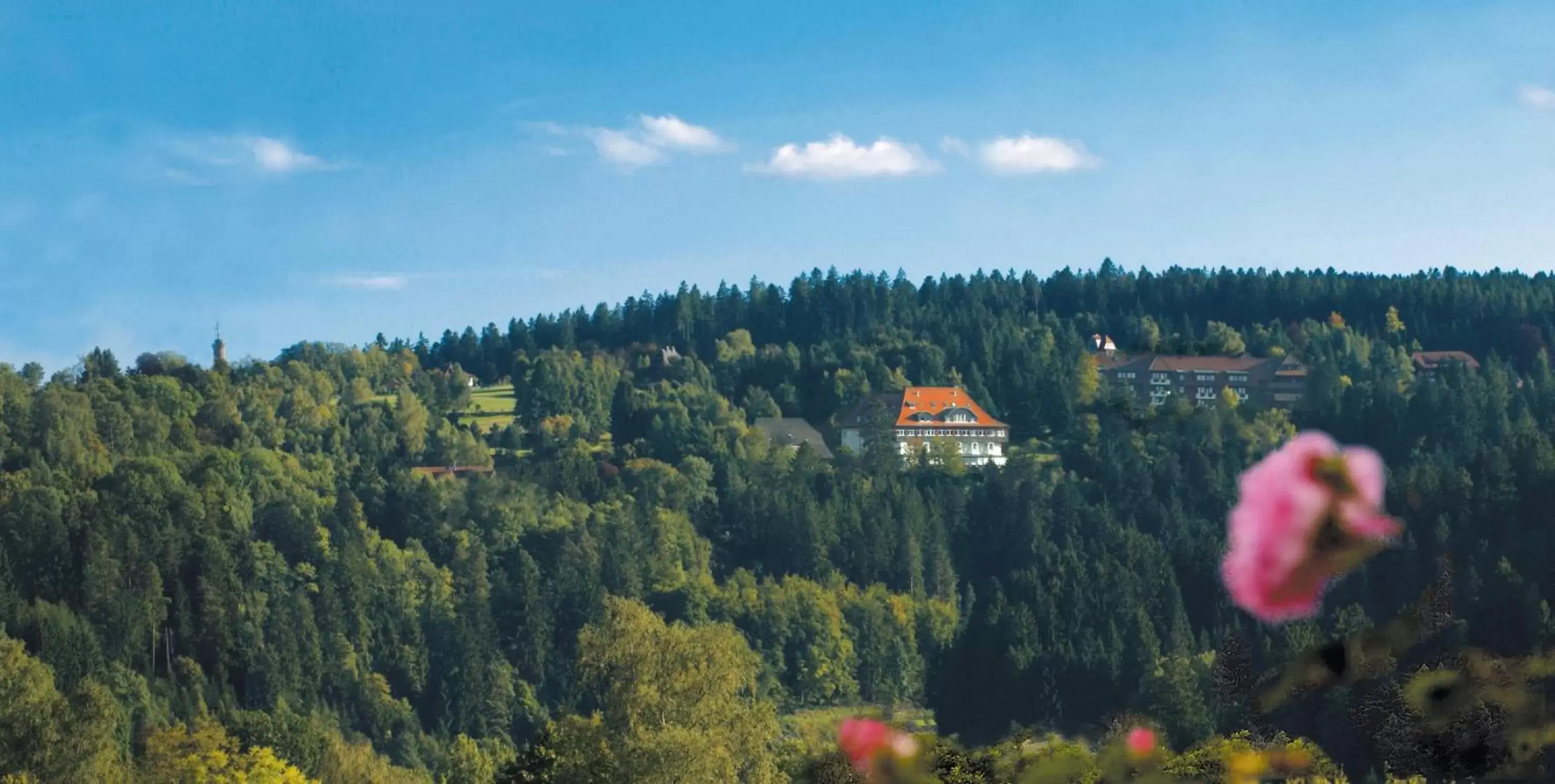 Natural landscape in Hotel Teuchelwald