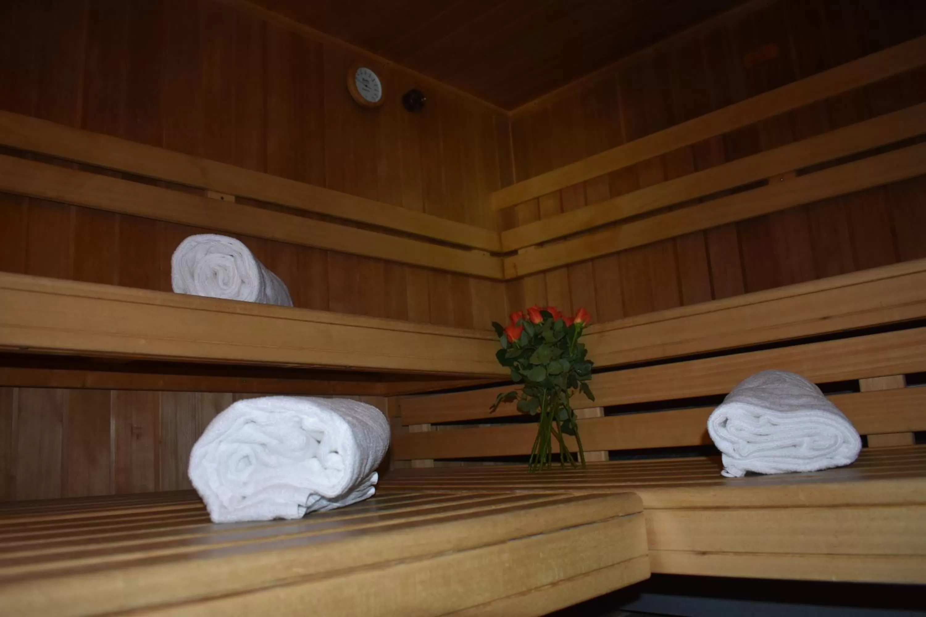Sauna in Hotel Bünda Davos