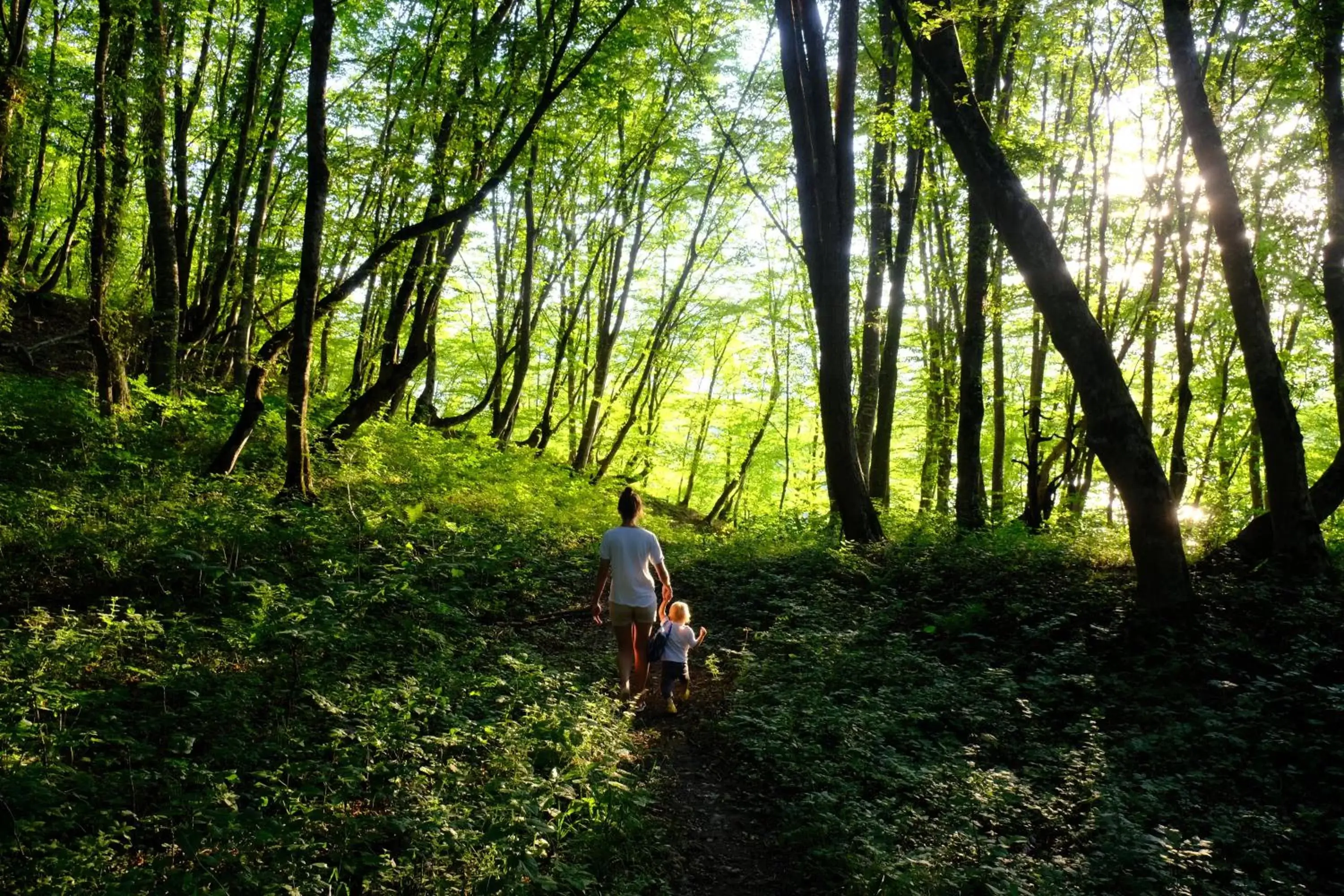 Hiking, Guests in The Babcock House