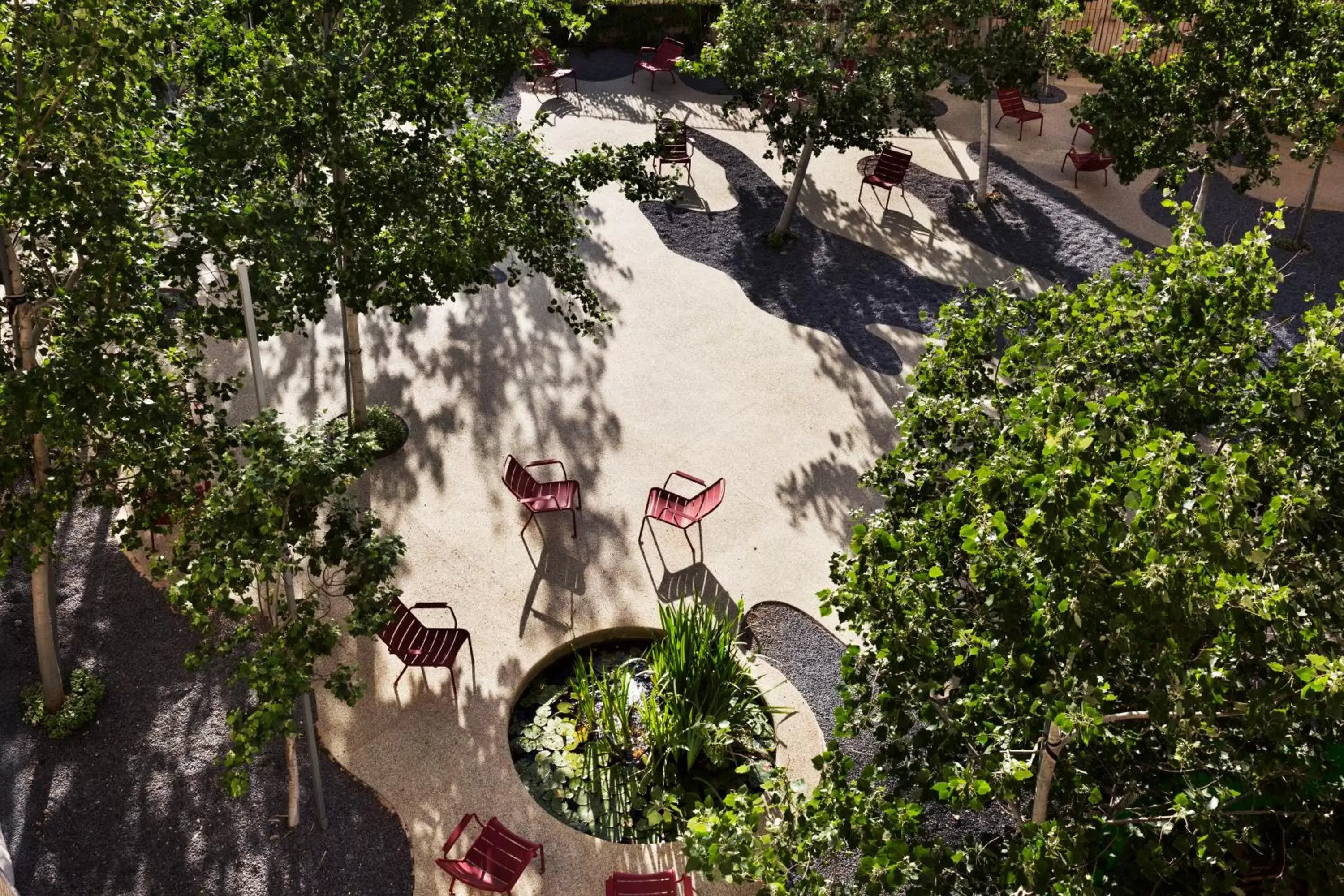 Garden in The Drisco - Relais & Châteaux