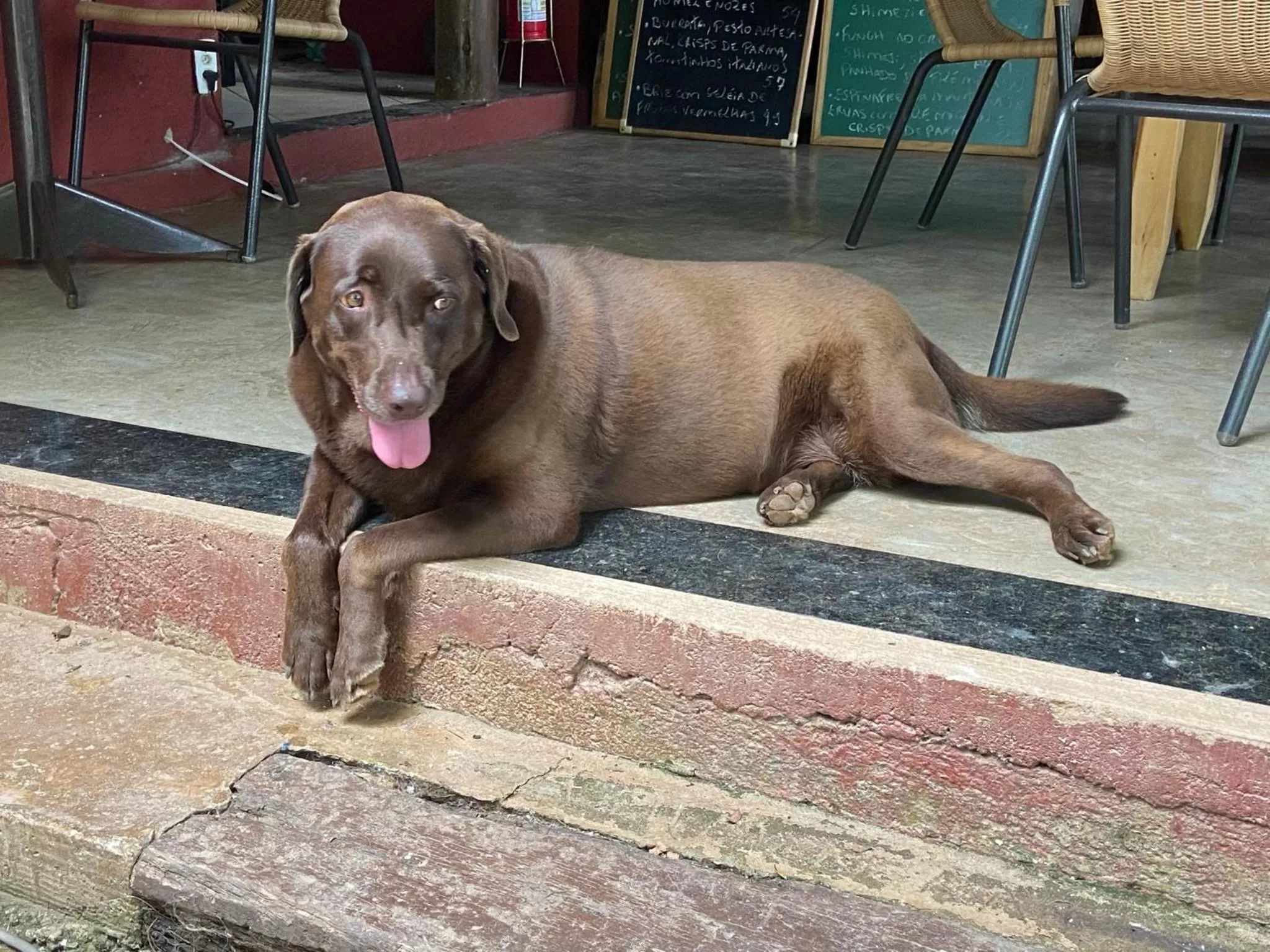 A Mi Manera Pousada , cerveja própria e Bistrô !