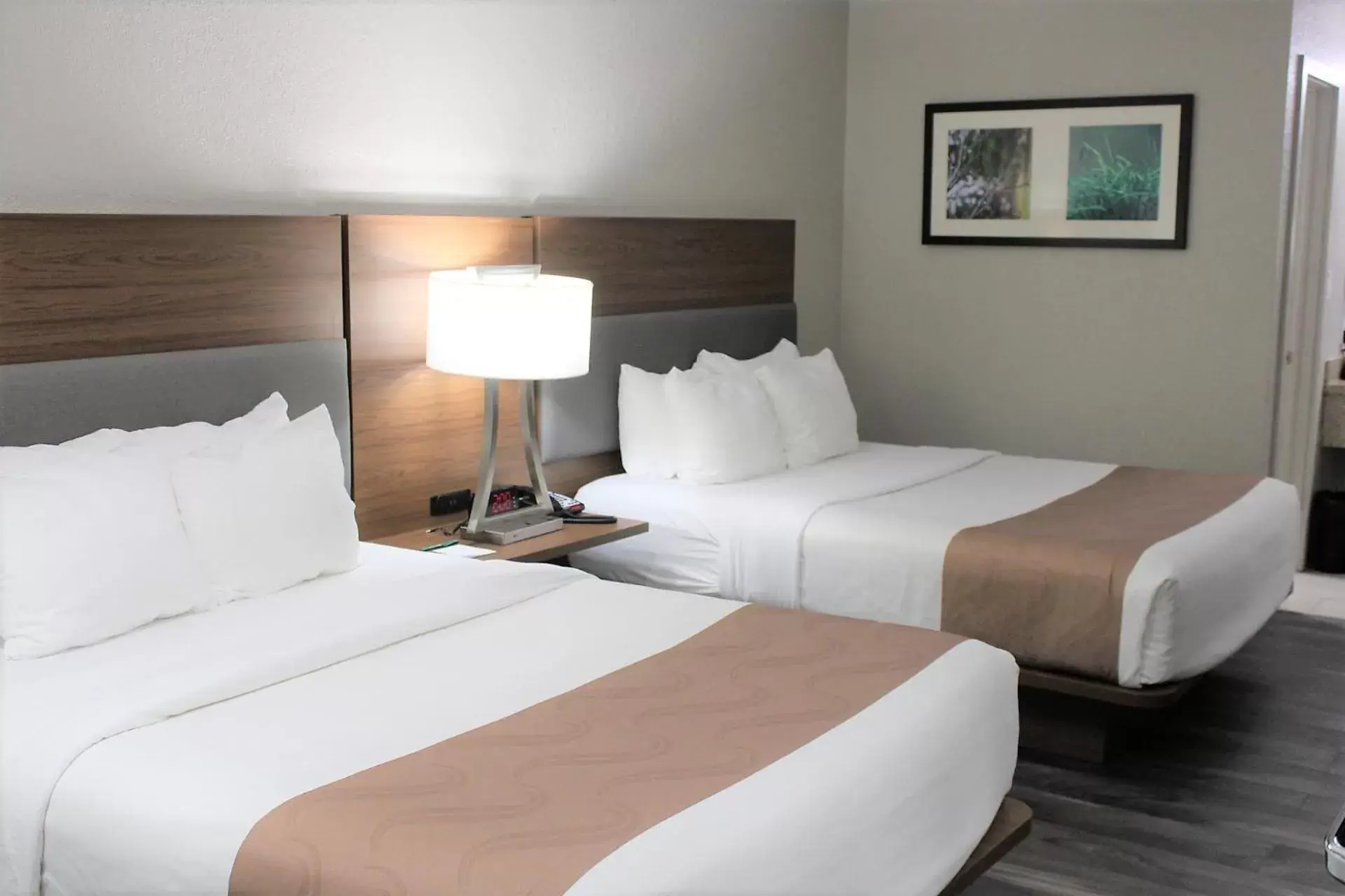 Bed in Quality Inn & Suites Near White Sands National Park
