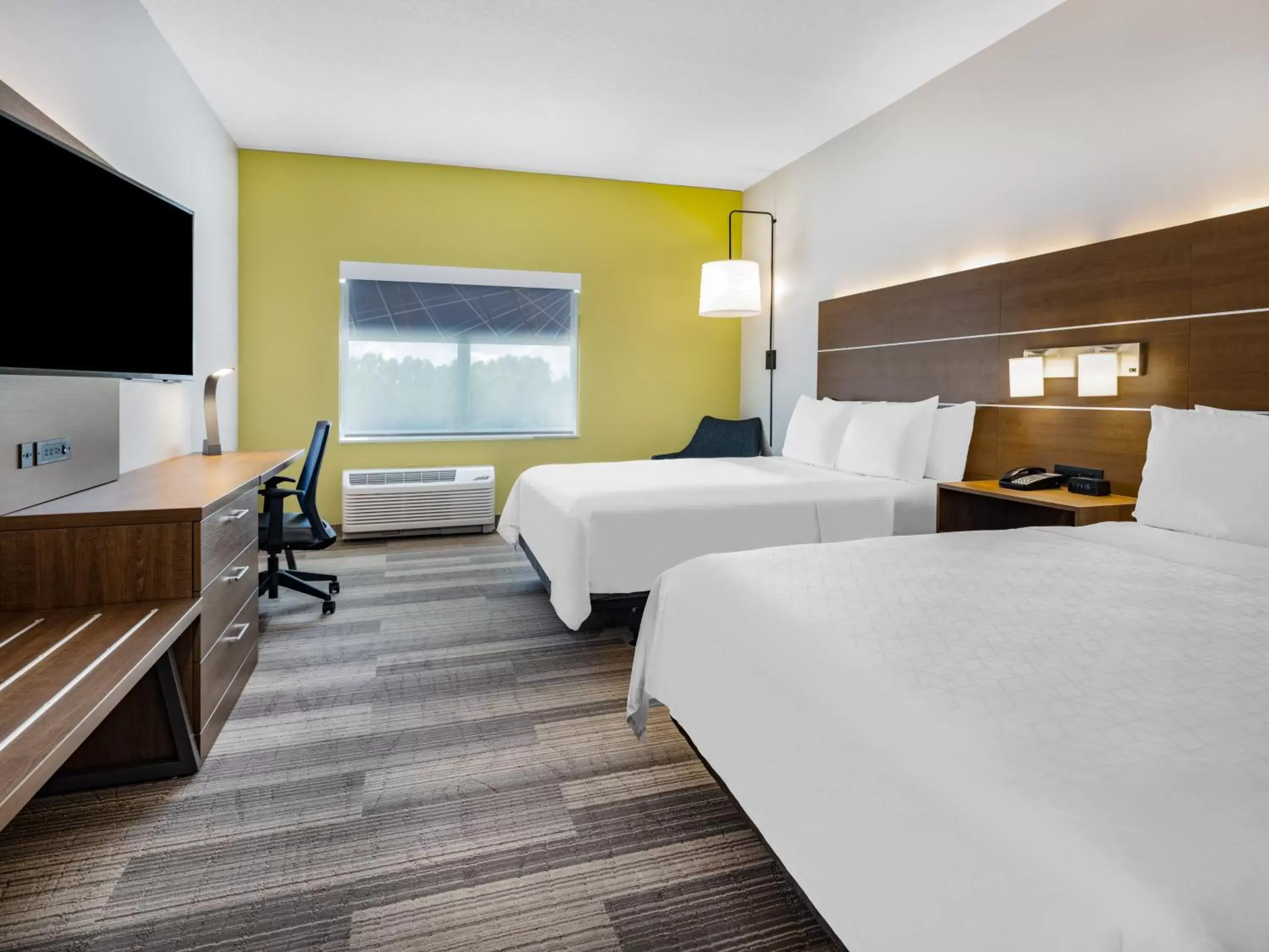 Photo of the whole room, Bed in Holiday Inn Express & Suites - Ruskin, an IHG Hotel