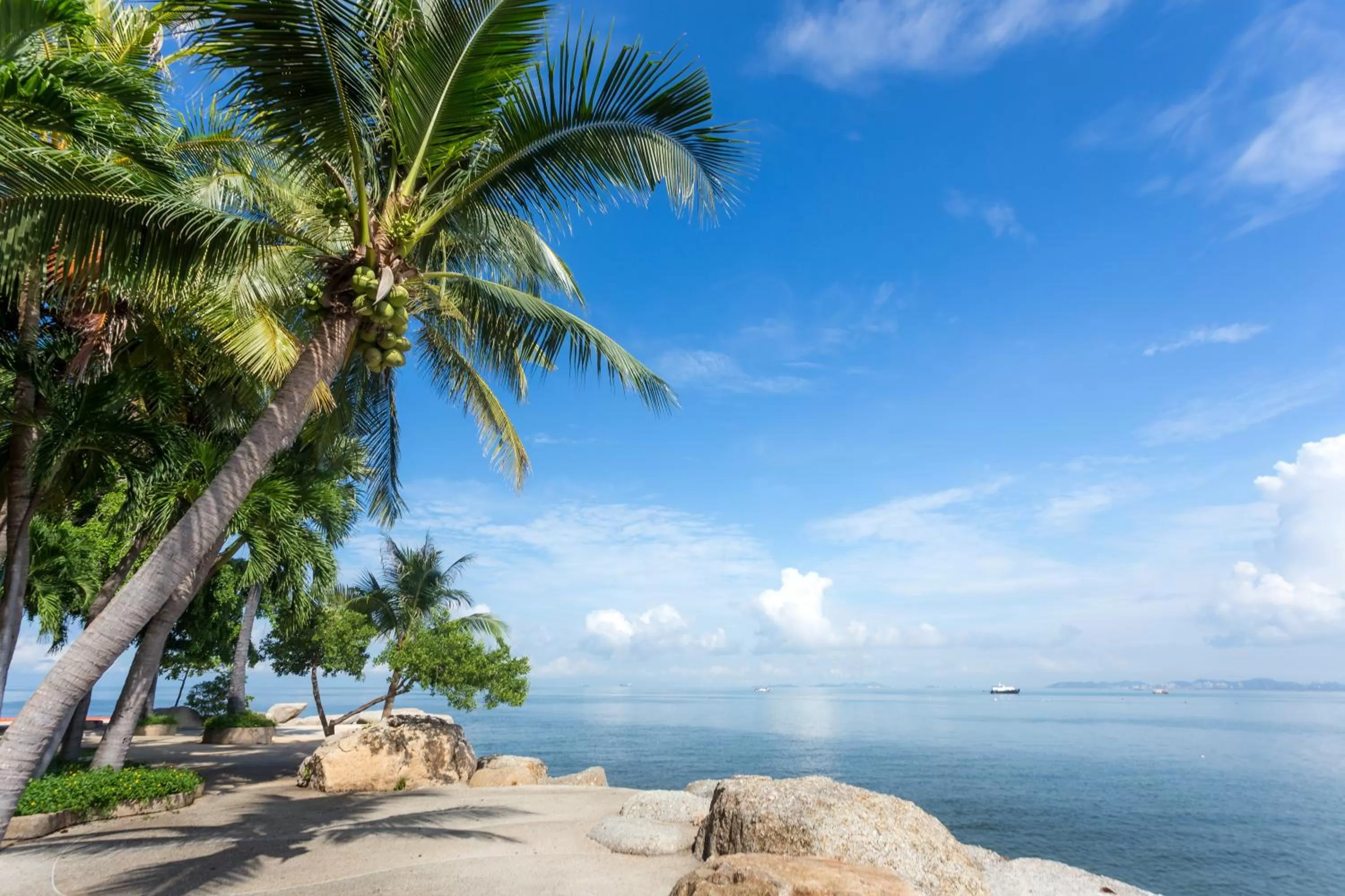 Day in Garden Sea View Resort