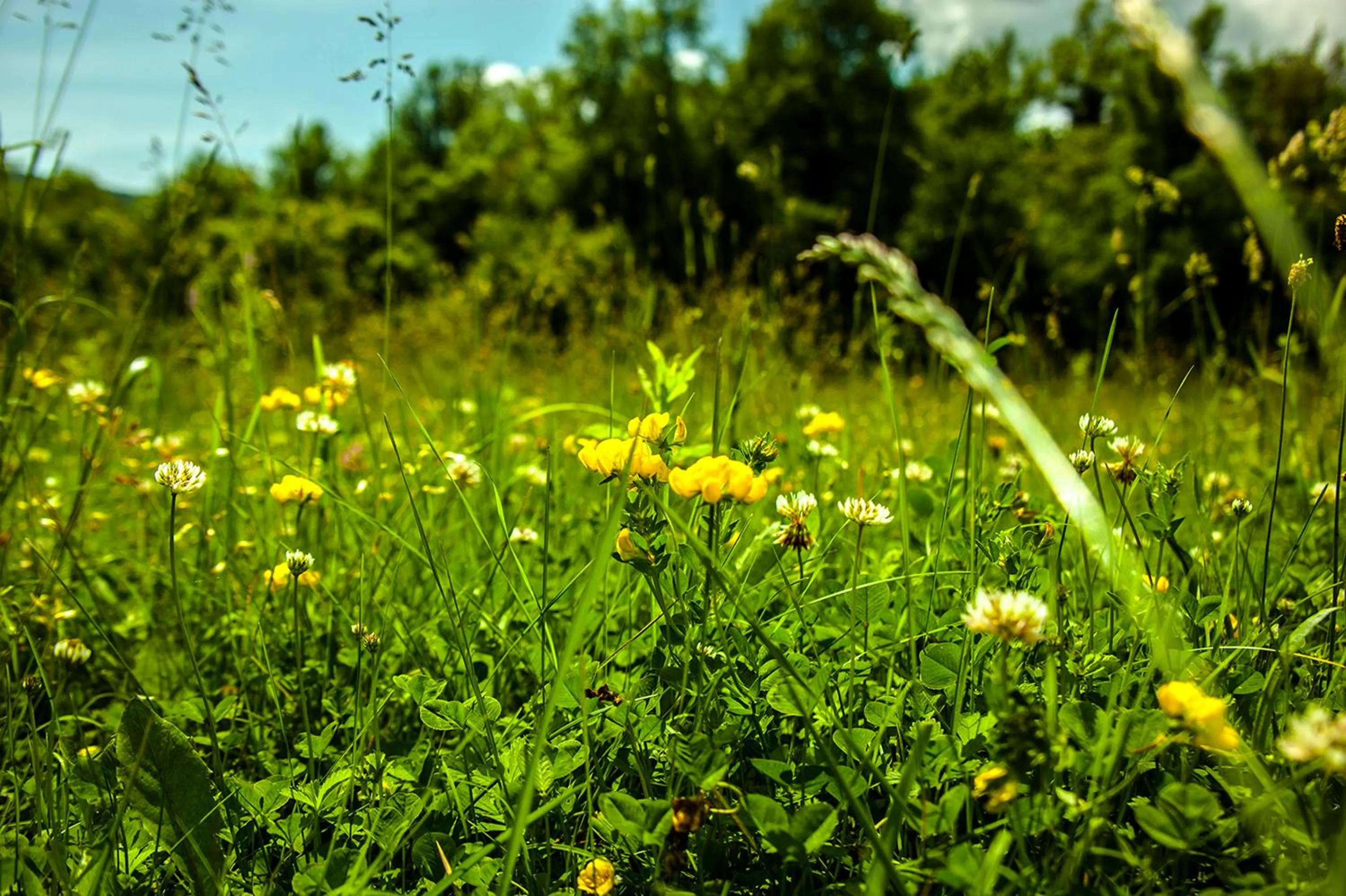 Natural landscape in Hotel Mas de Xaxas