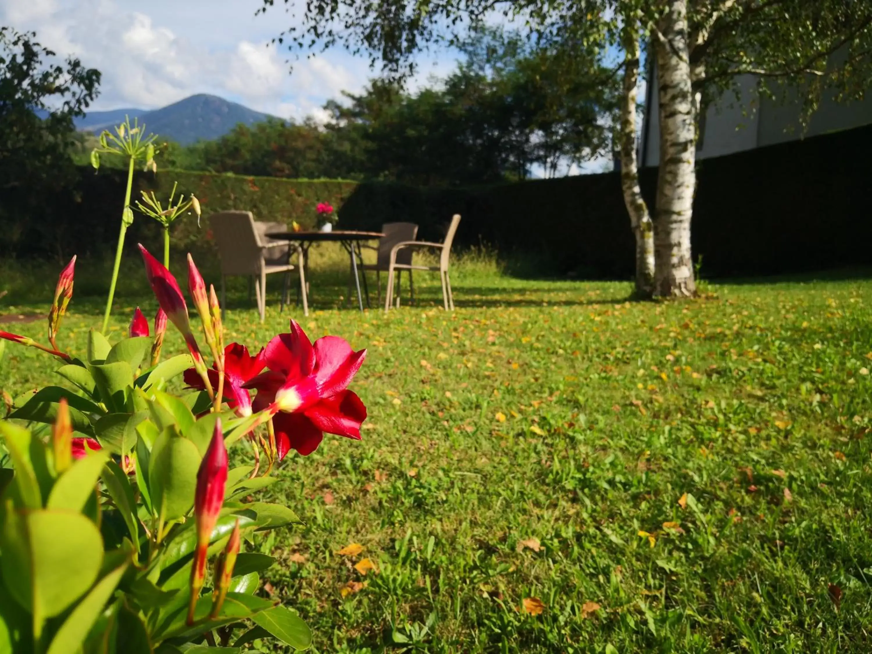 Garden in B&B BARISEI