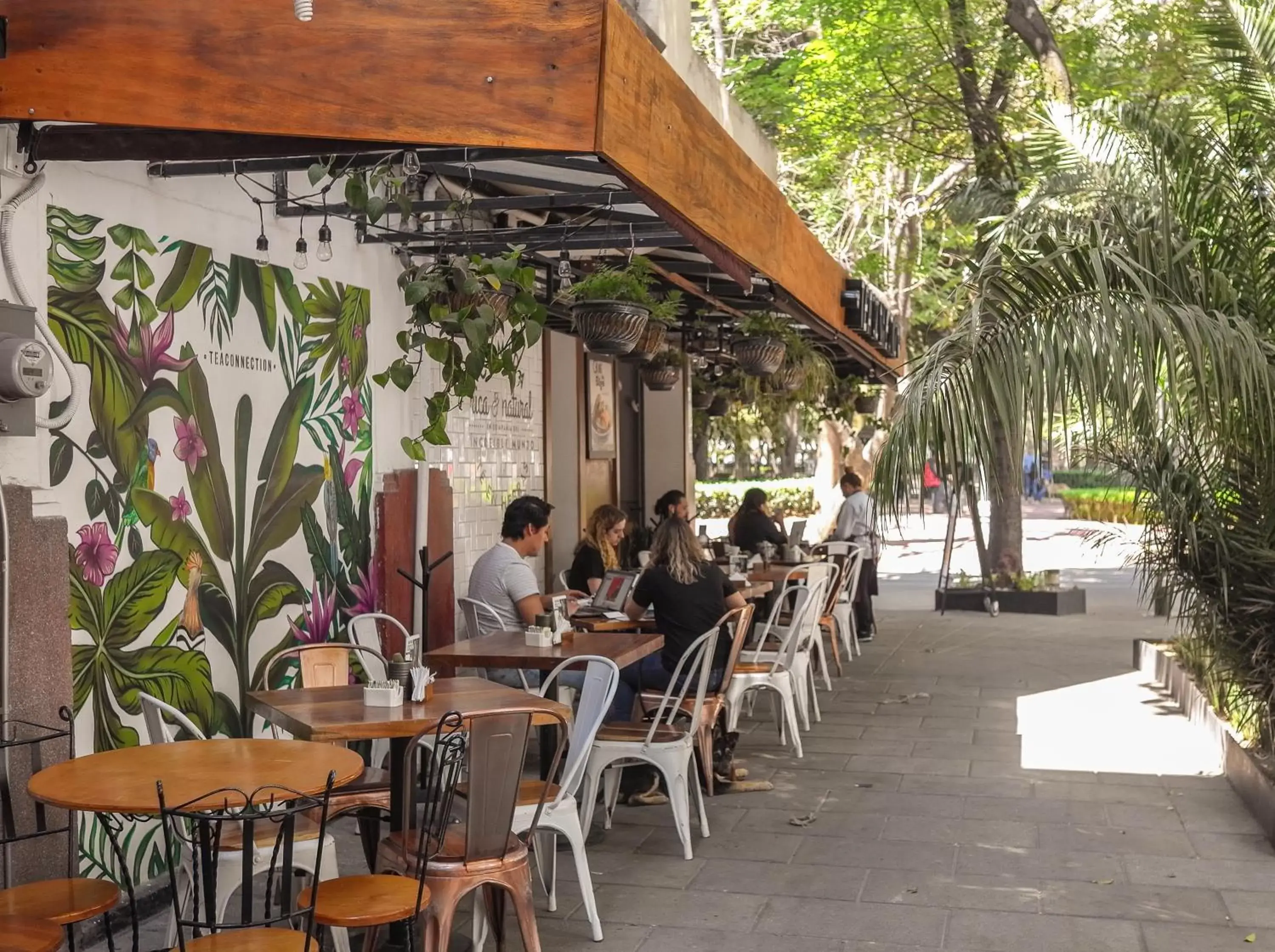 Restaurant/Places to Eat in Casa Nuevo Leon