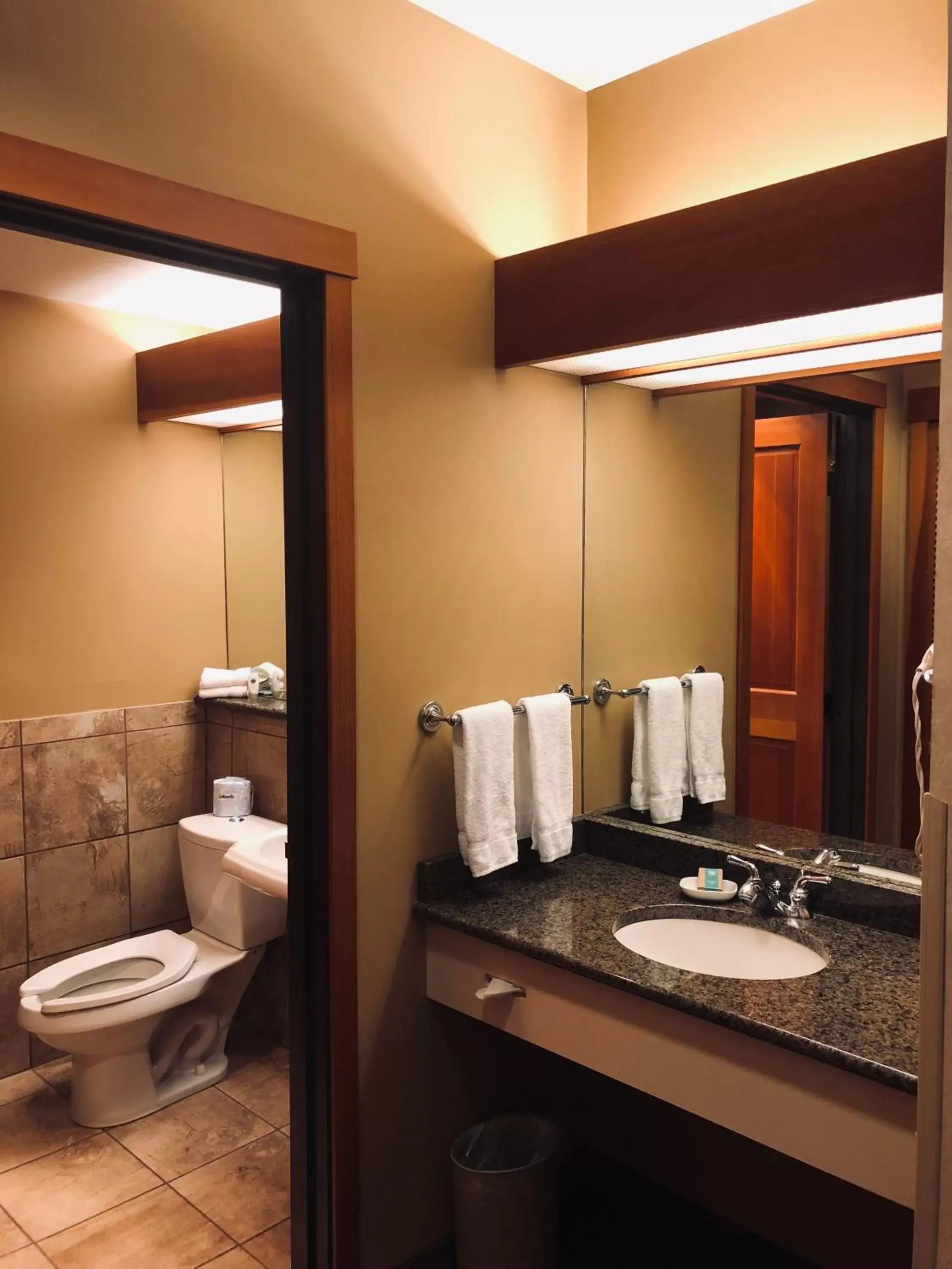 Bathroom in Heathman Lodge