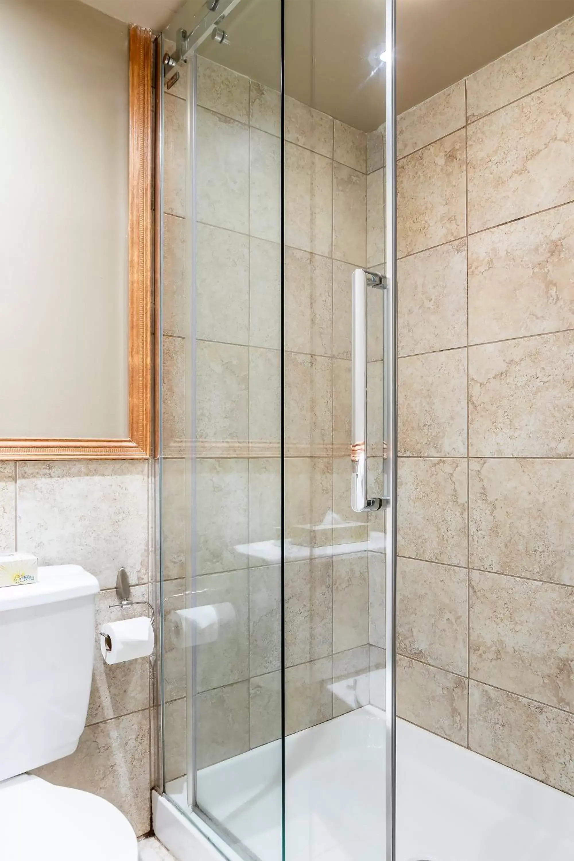 Shower, Bathroom in Hotel Ermitage