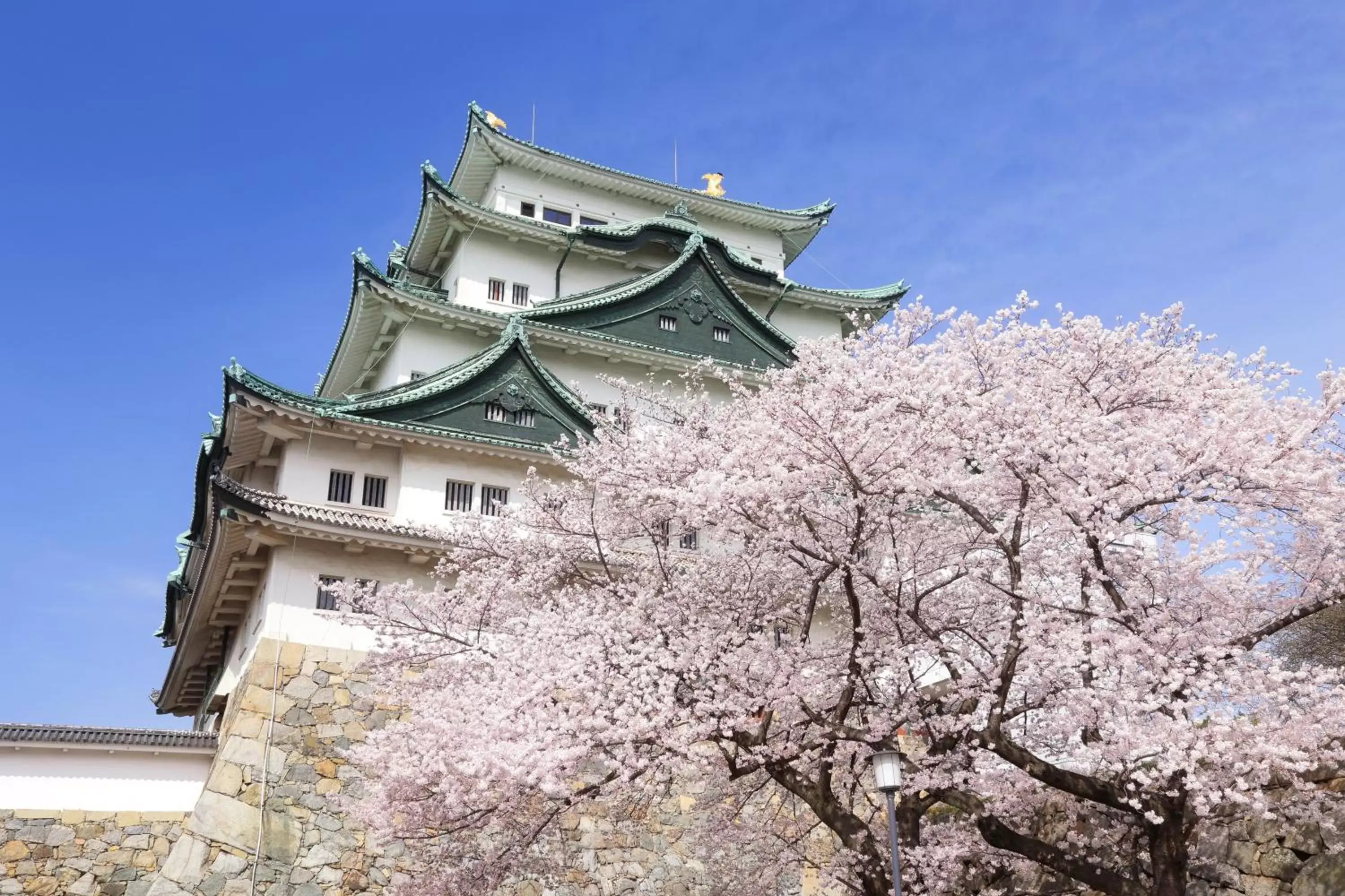 Nearby landmark, Winter in the b nagoya