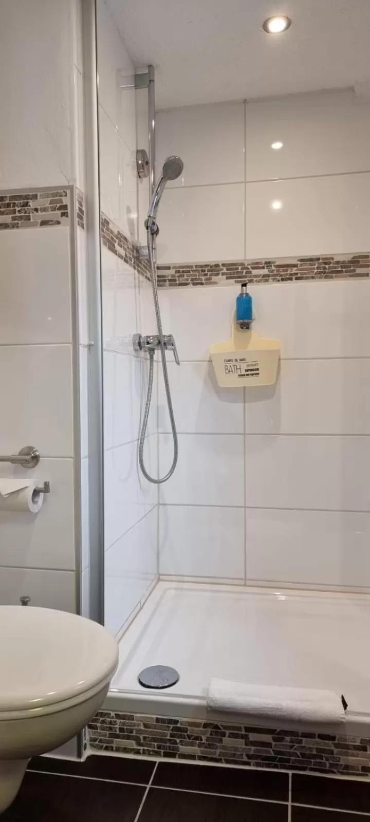 Bathroom in Hotel Engel