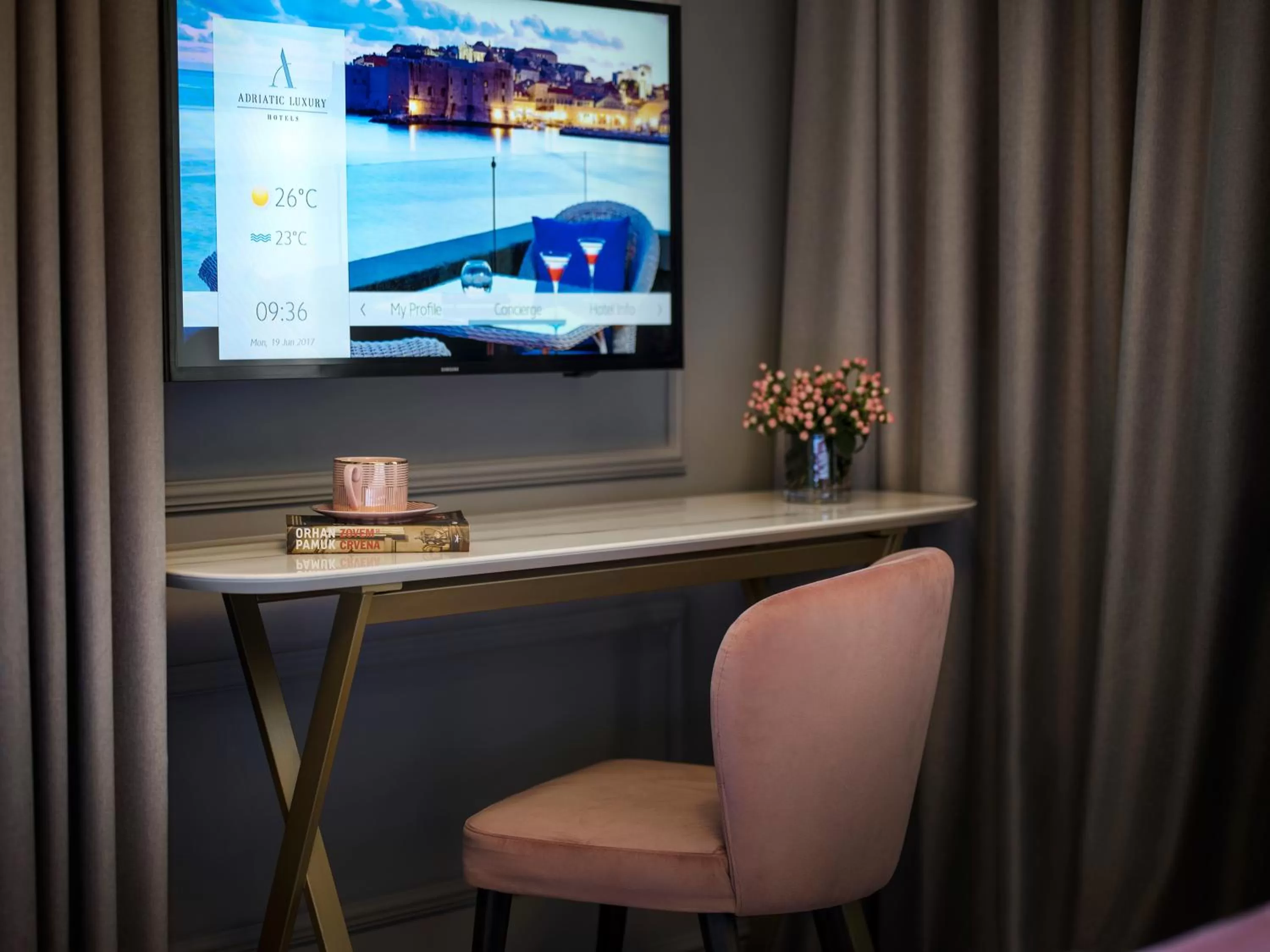 TV and multimedia in Hotel Excelsior