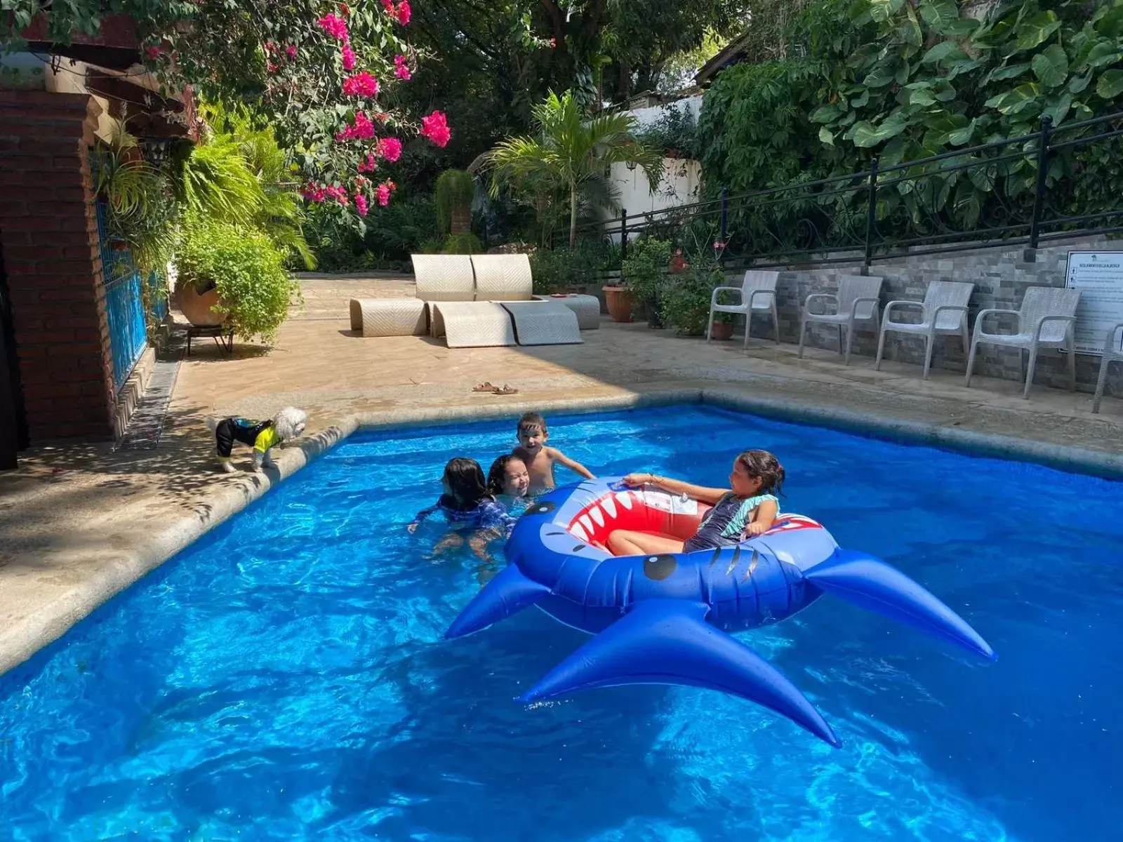 Swimming Pool in Hotel La Ceiba