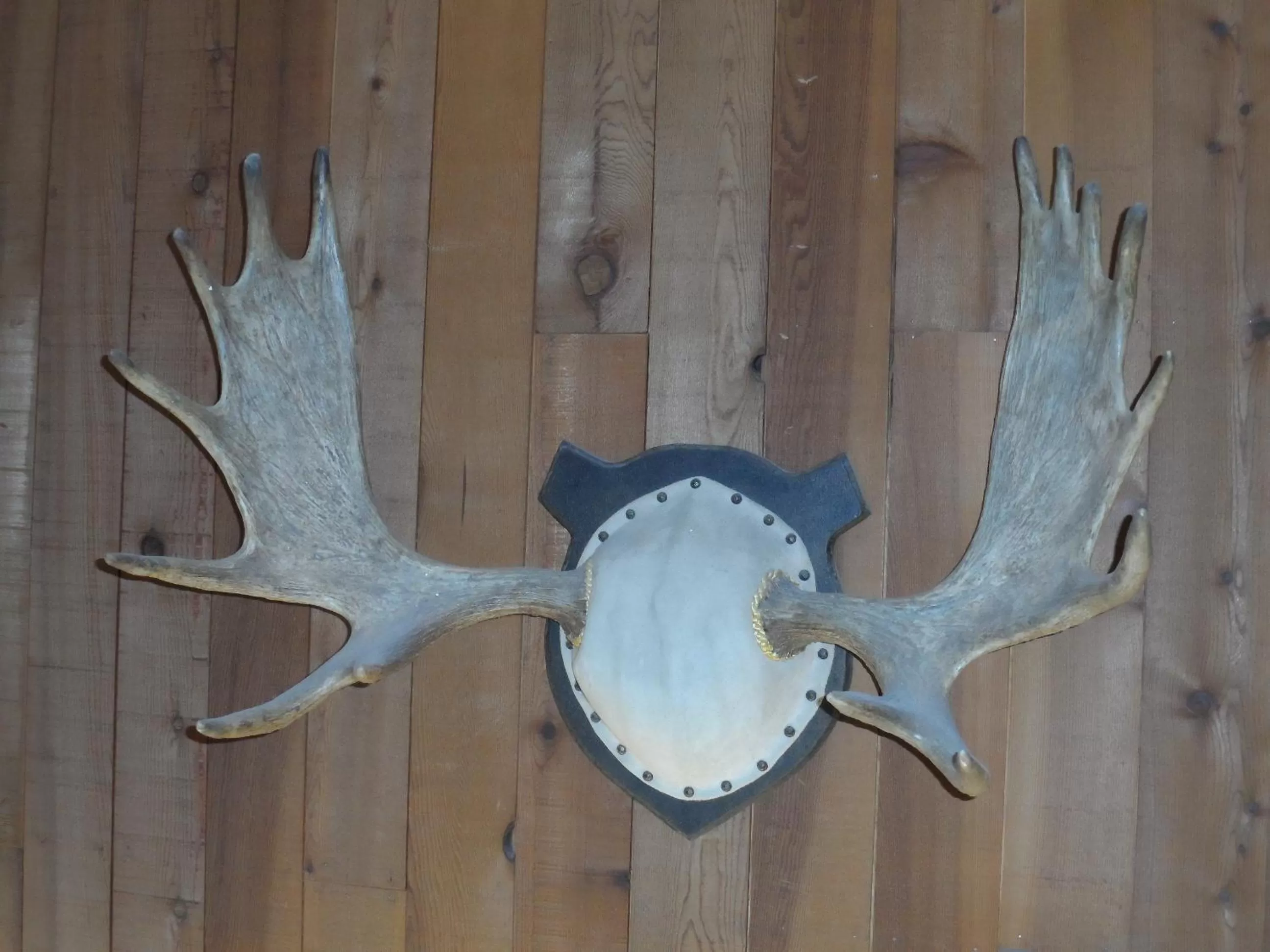 Lobby or reception in Bear Lodge Motel