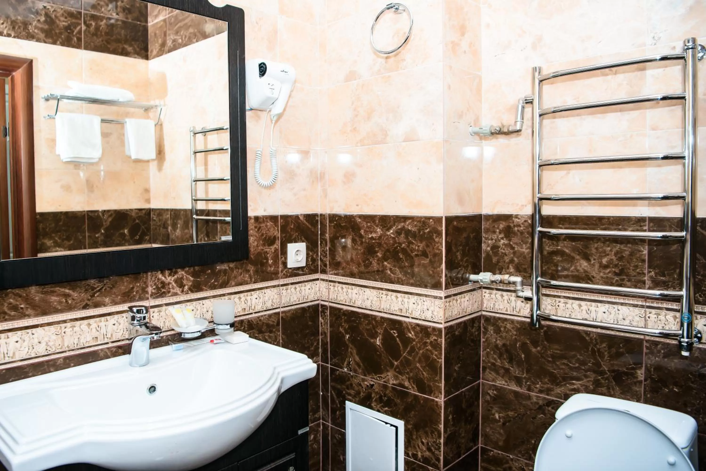 Toilet, Bathroom in Lion Hotel