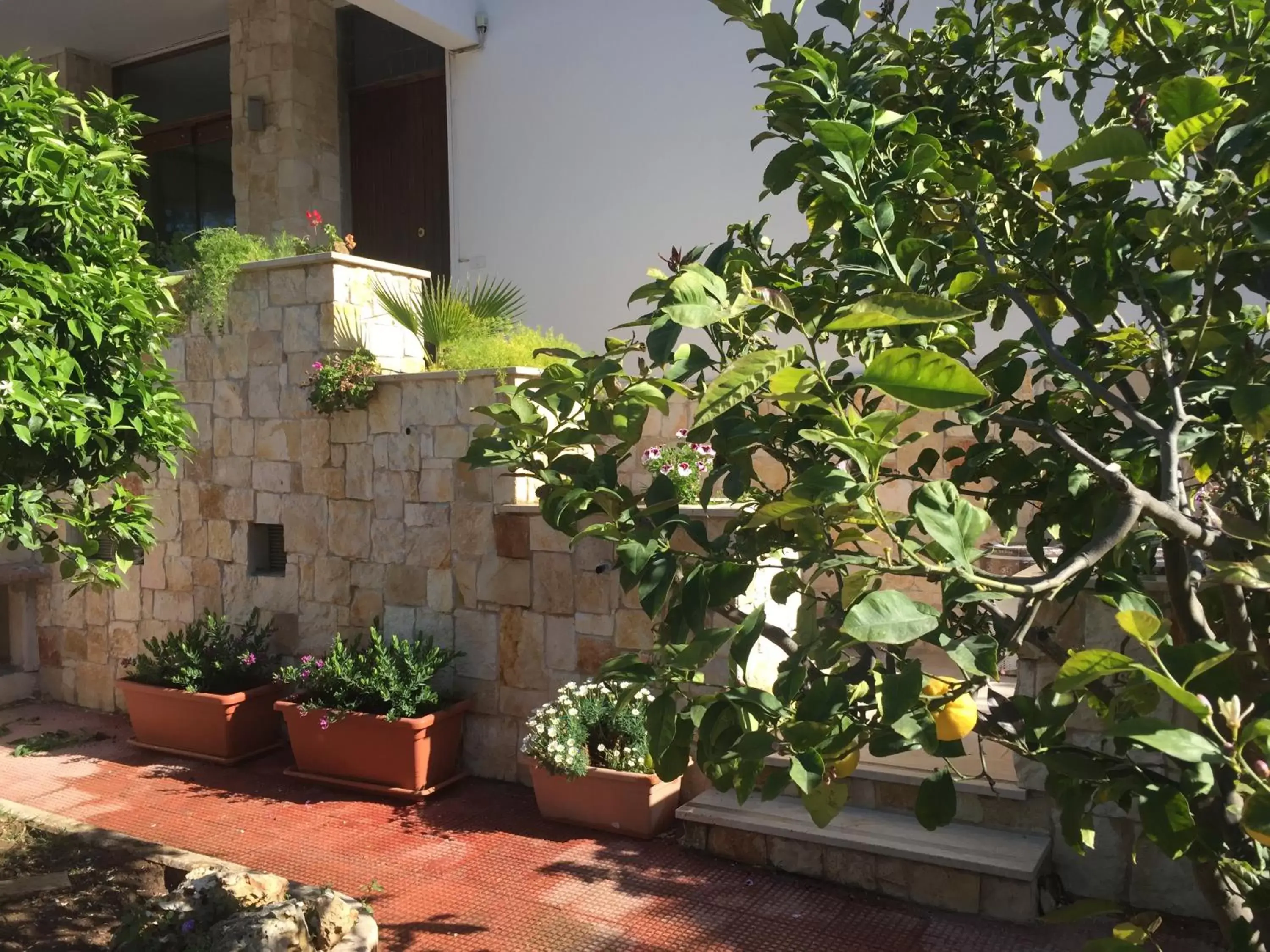 Garden, Property Building in Dream & Relax Villa Fiore