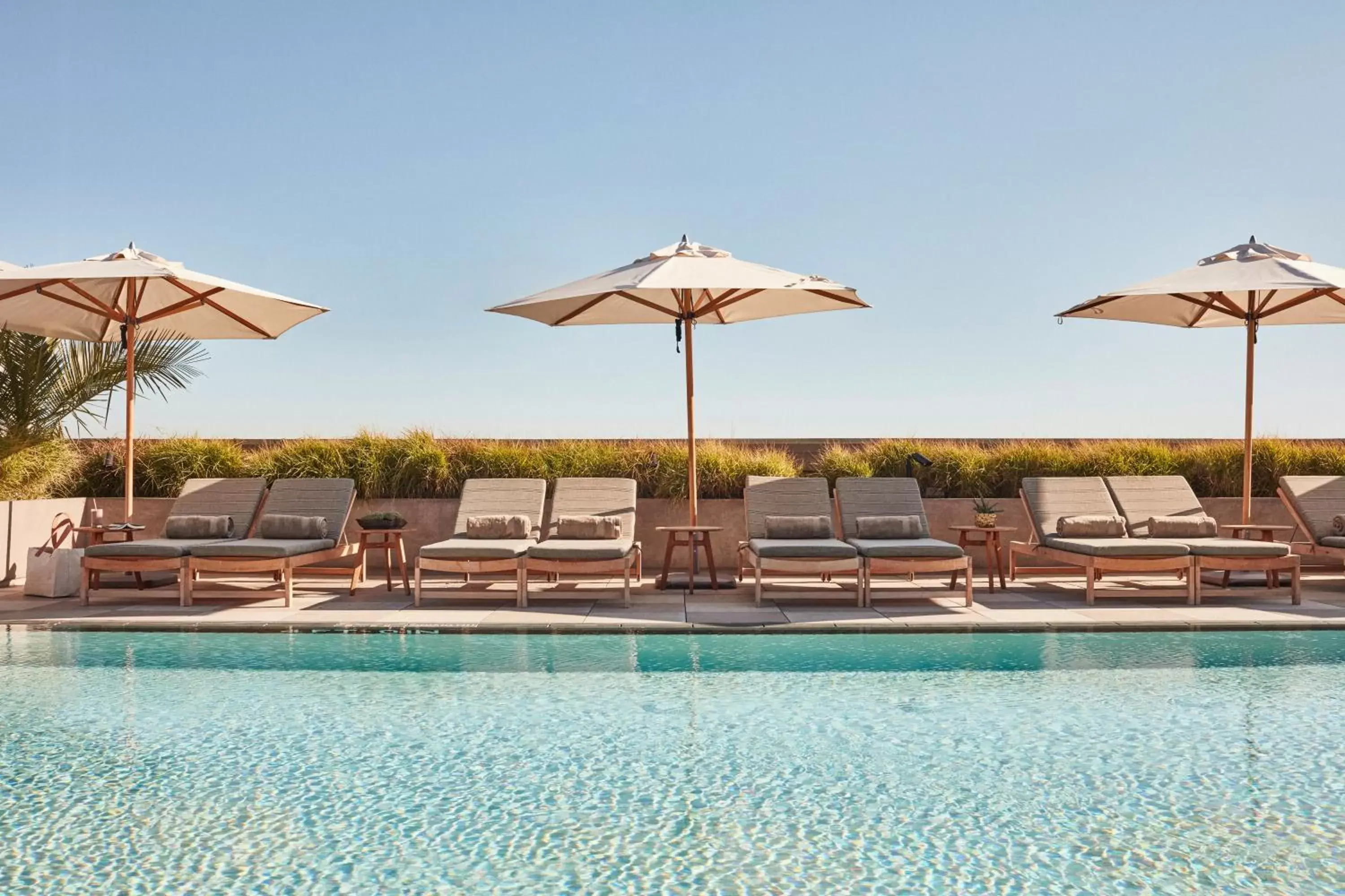 Pool view, Swimming Pool in Santa Monica Proper Hotel, a Member of Design Hotels