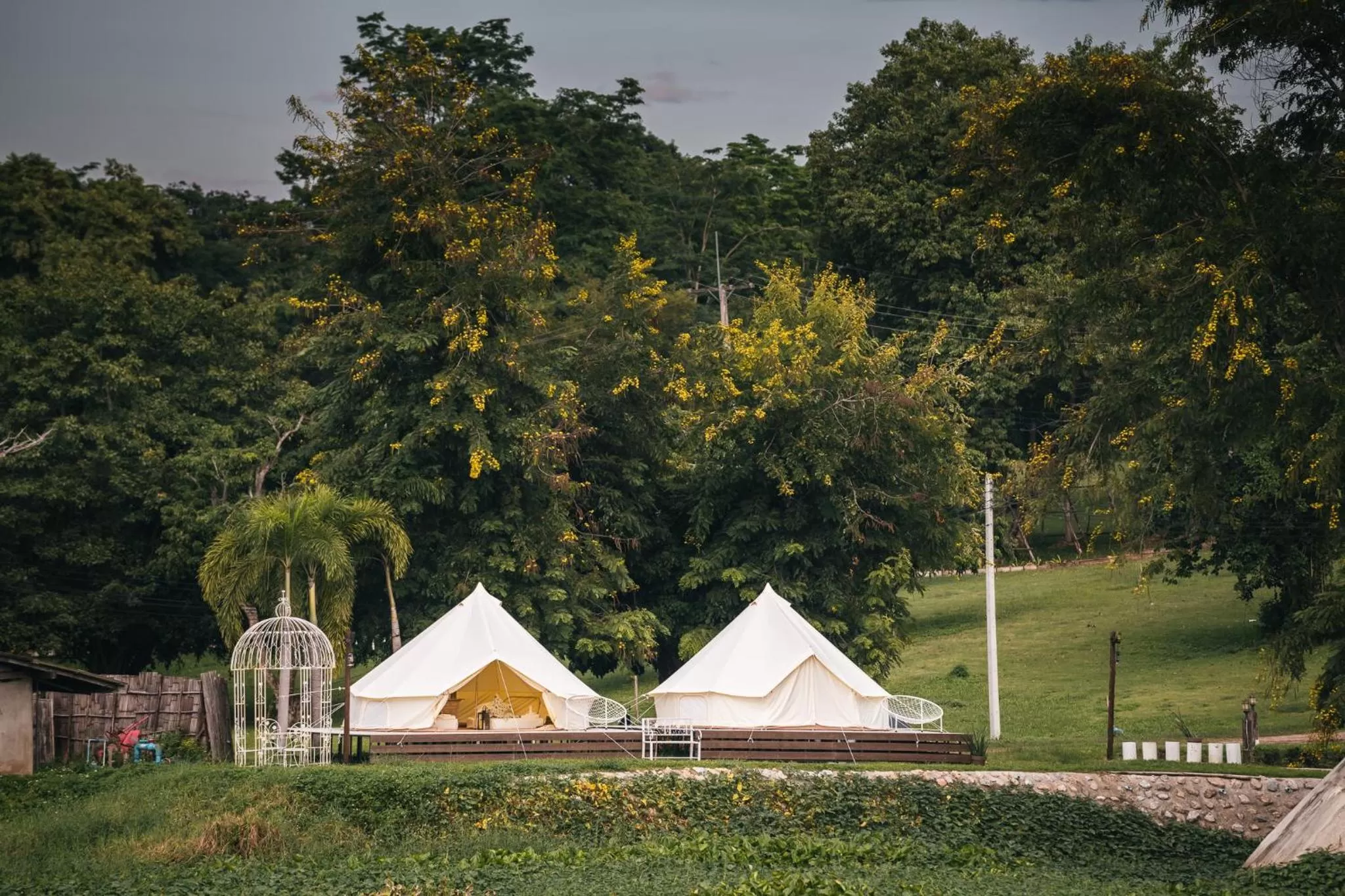 Garden in Doi Inthanon Riverside resort