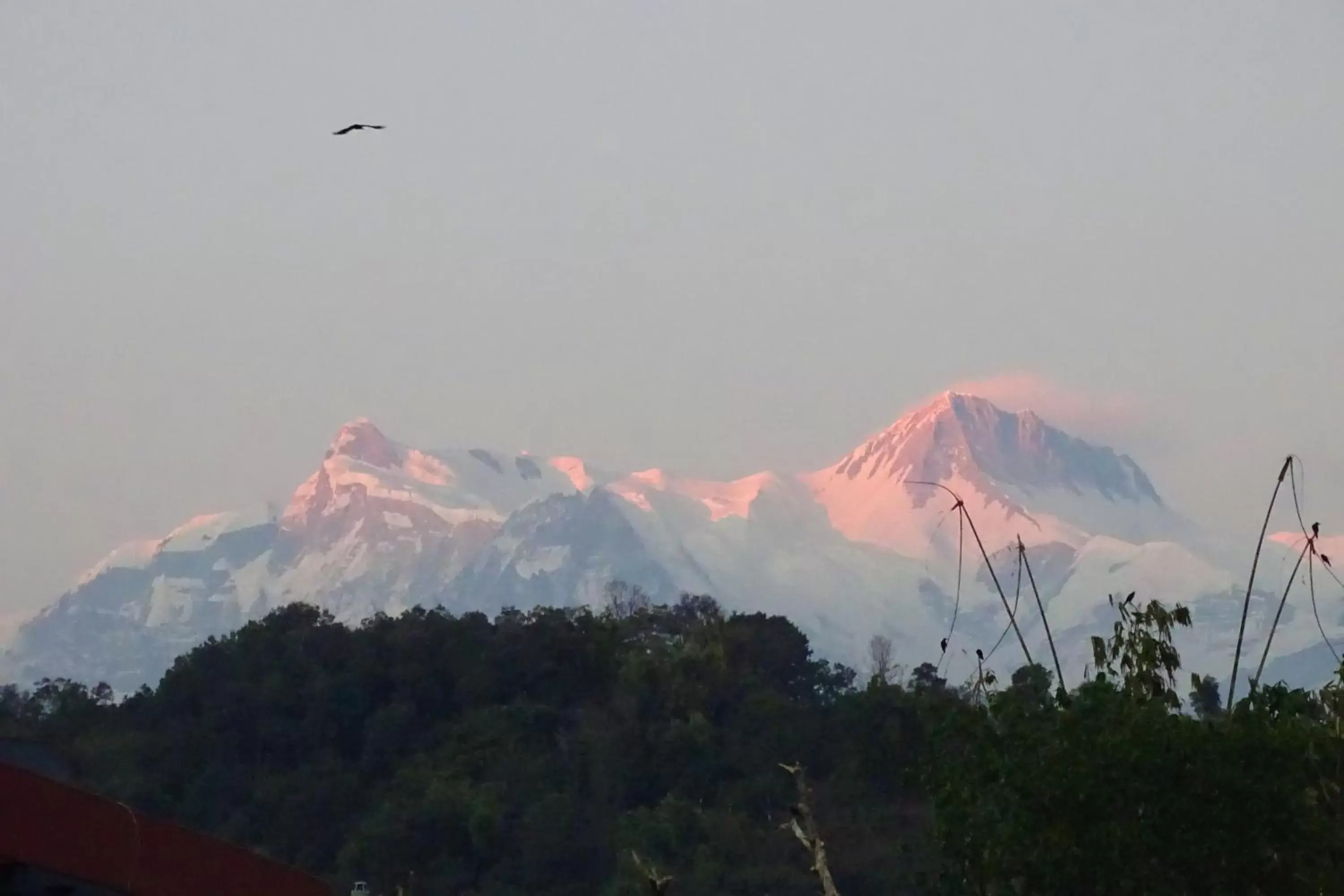 Natural Landscape in Hotel Karuna