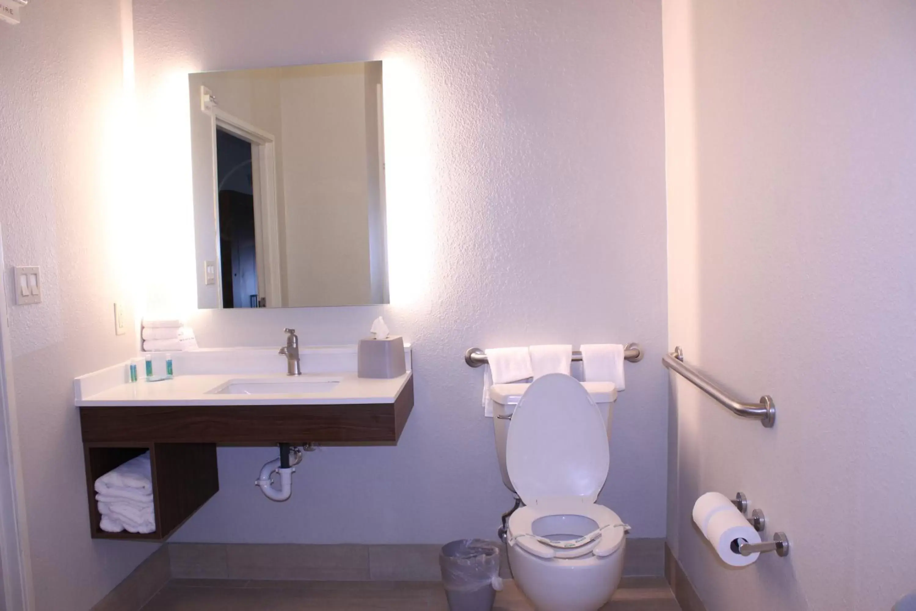 Toilet, Bathroom in Holiday Inn Express Hotel & Suites Mansfield, an IHG Hotel