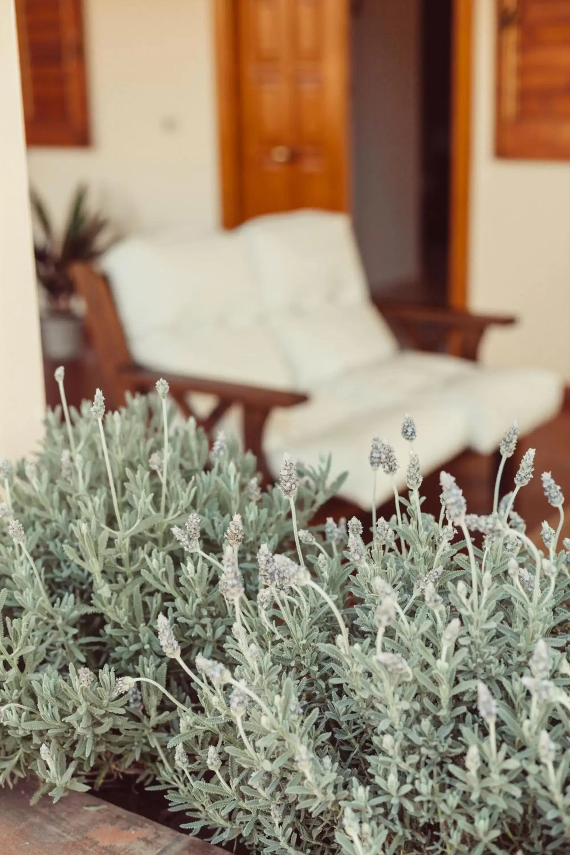 Balcony/Terrace in b&b Artemisia