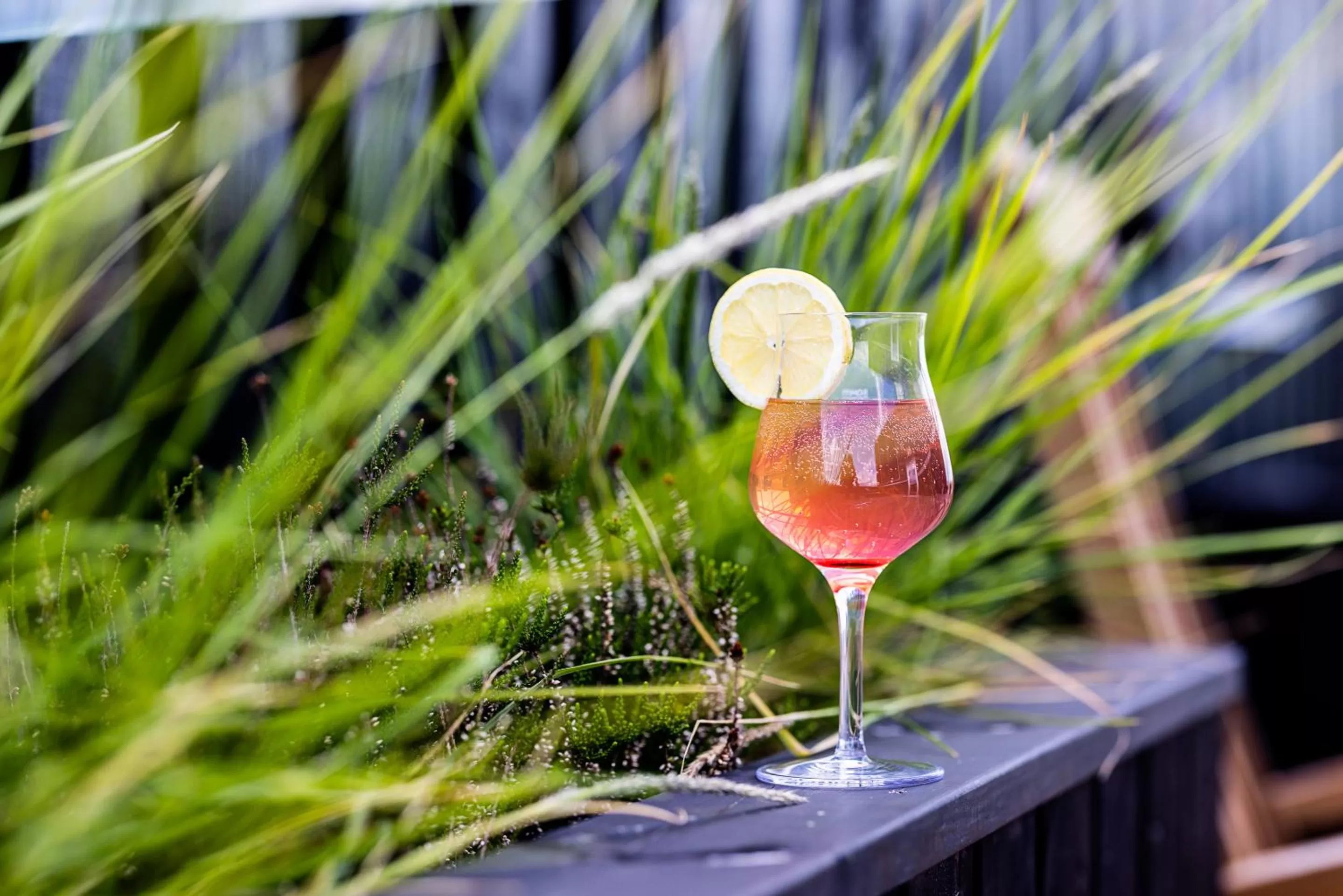 Drinks in Aalborg Airport Hotel